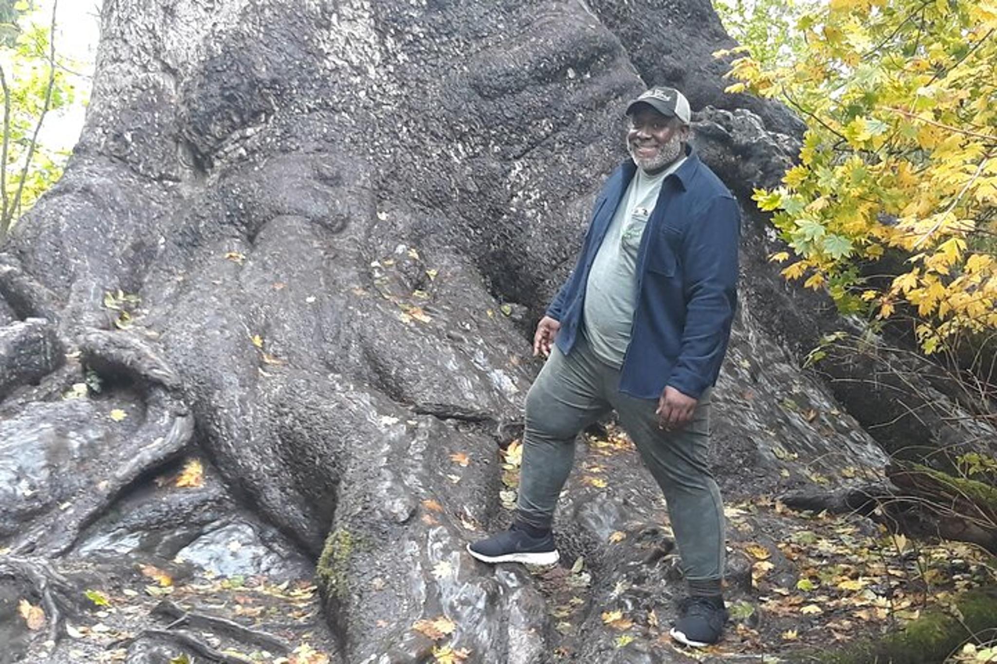 Olympic Peninsula Forest Tour - Image 2