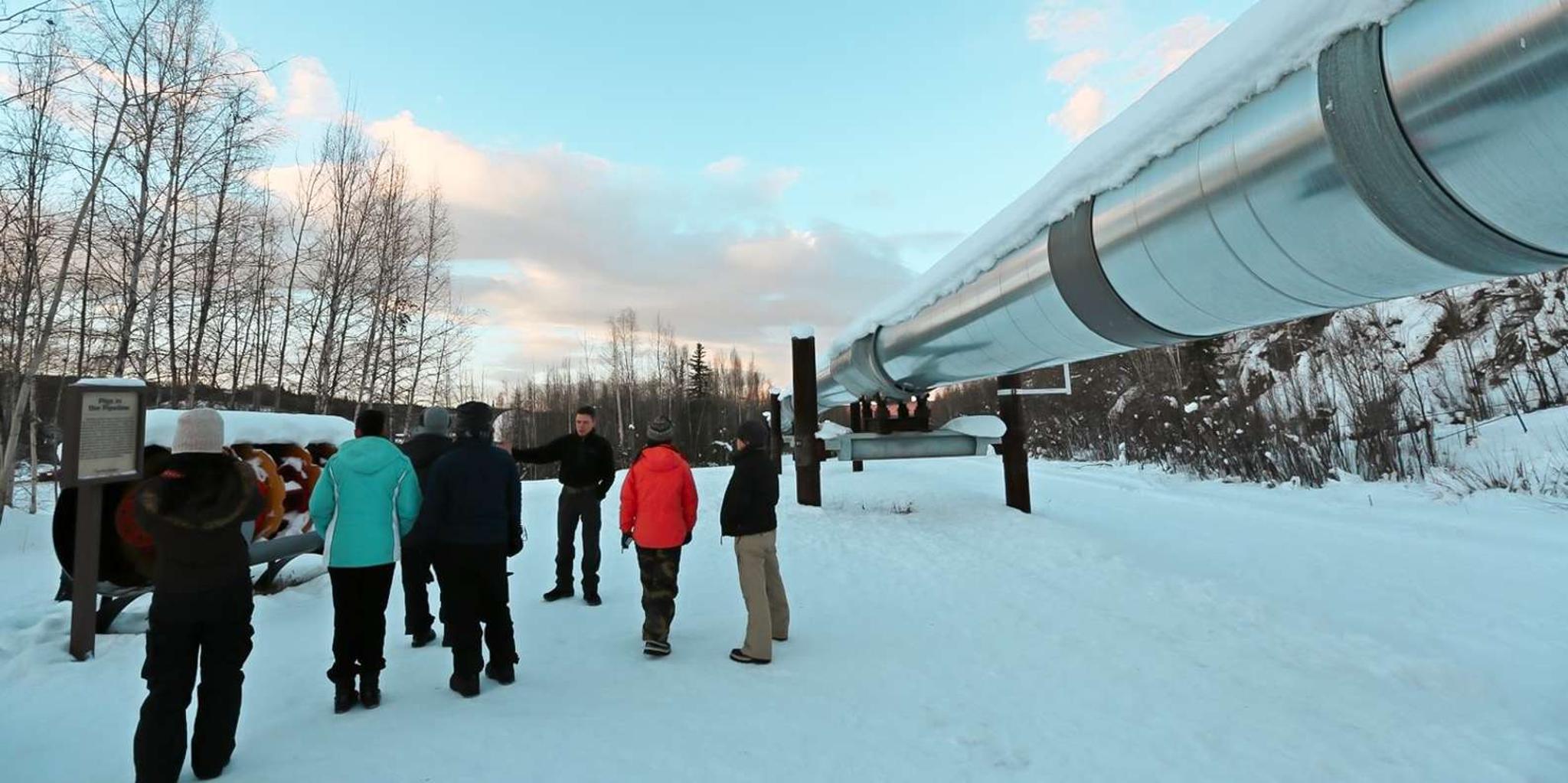 Fairbanks Arctic Circle Northern Lights Tour - Image 3