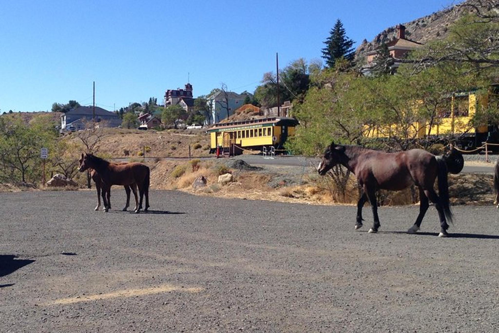Virginia City and Carson City Historic Tour from South Lake Tahoe - Image 2
