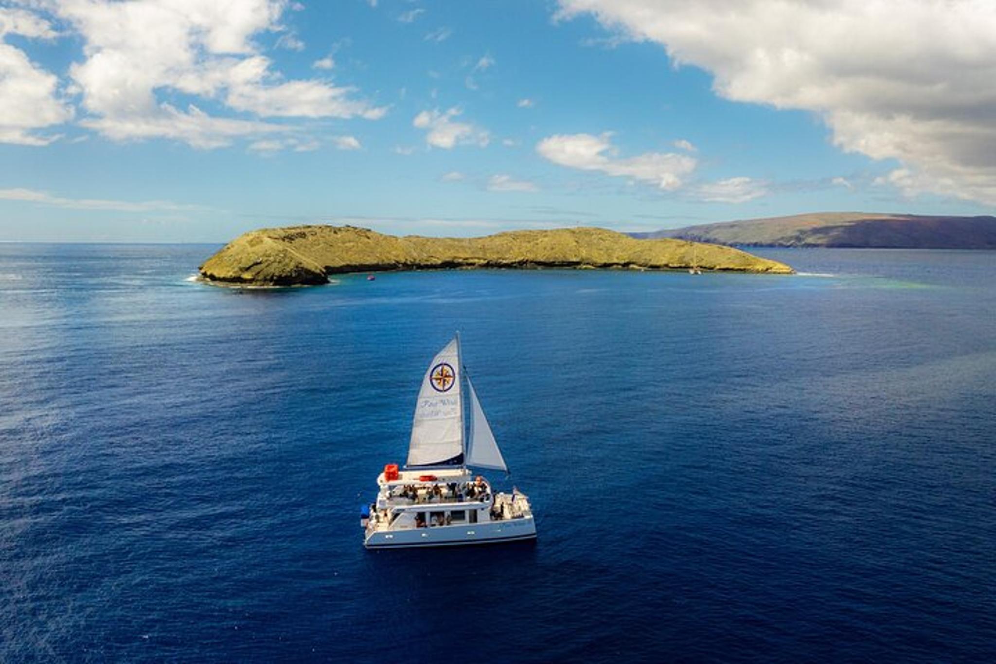 Maalaea Harbor Molokini Snorkeling Tour - Image 2