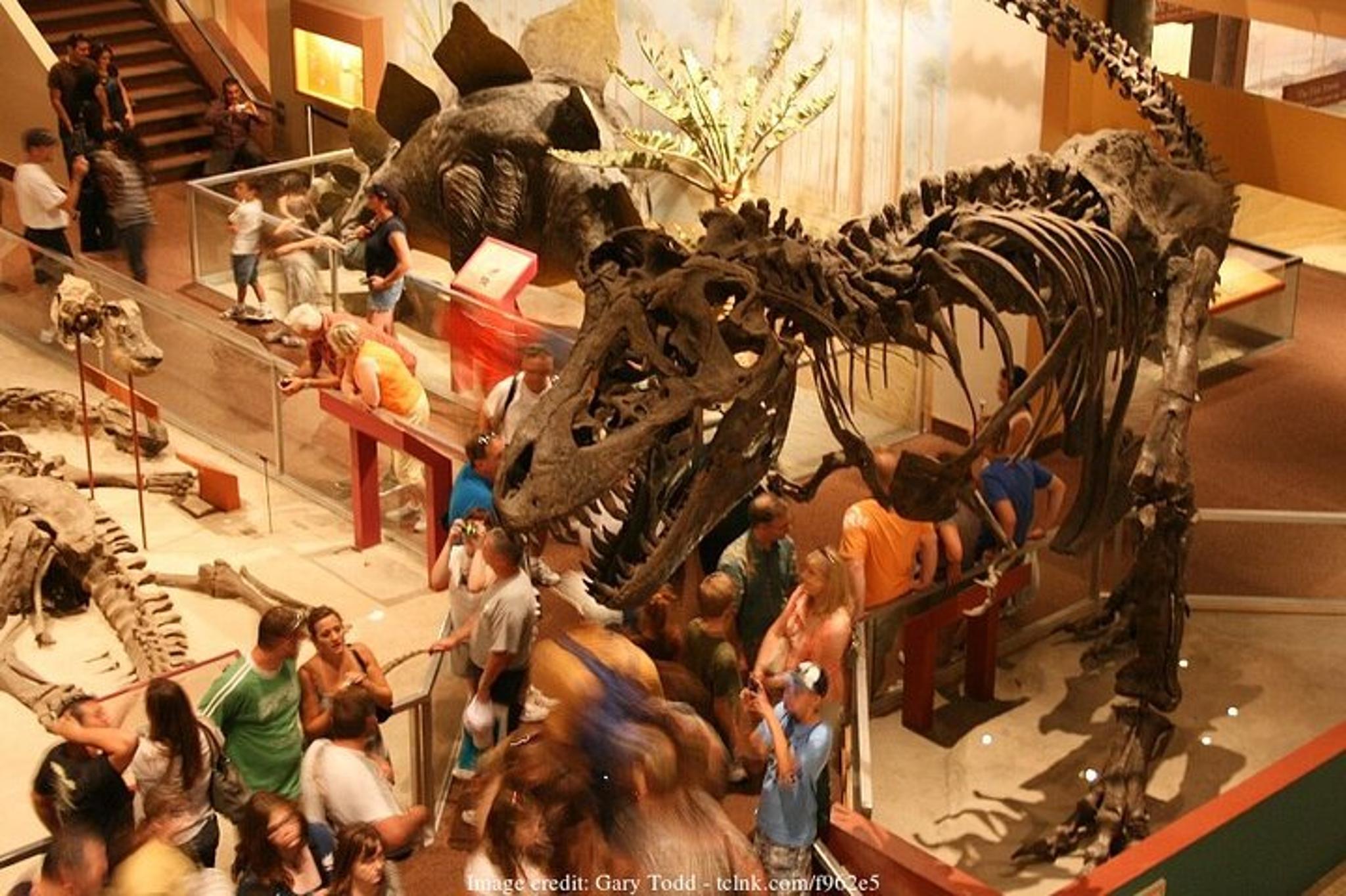 Washington DC Smithsonian Museums Private Tour - Image 4