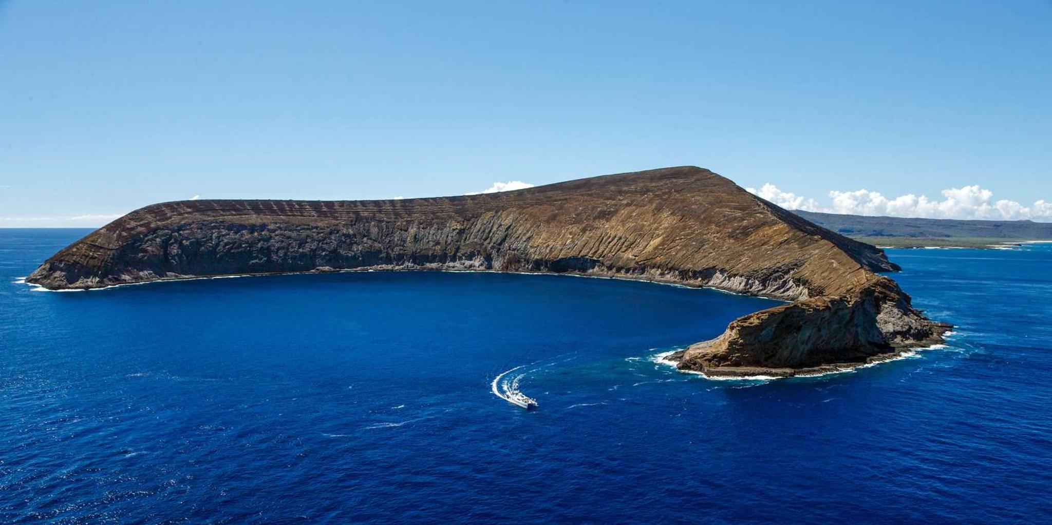 Kauai Niihau and Na Pali Coast Boat Tour - Image 3
