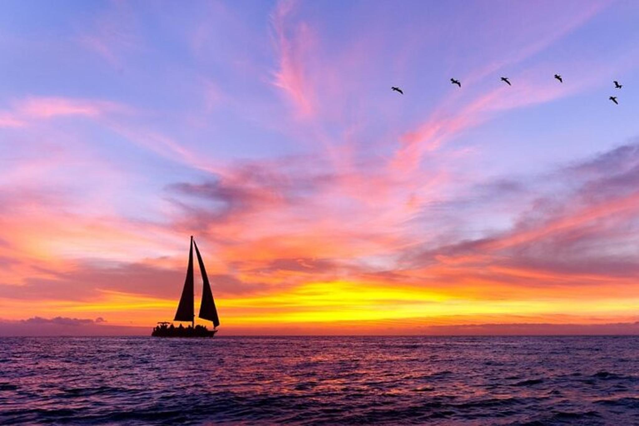 Panama City Dolphin Sightseeing Sail at Sunset - Image 2