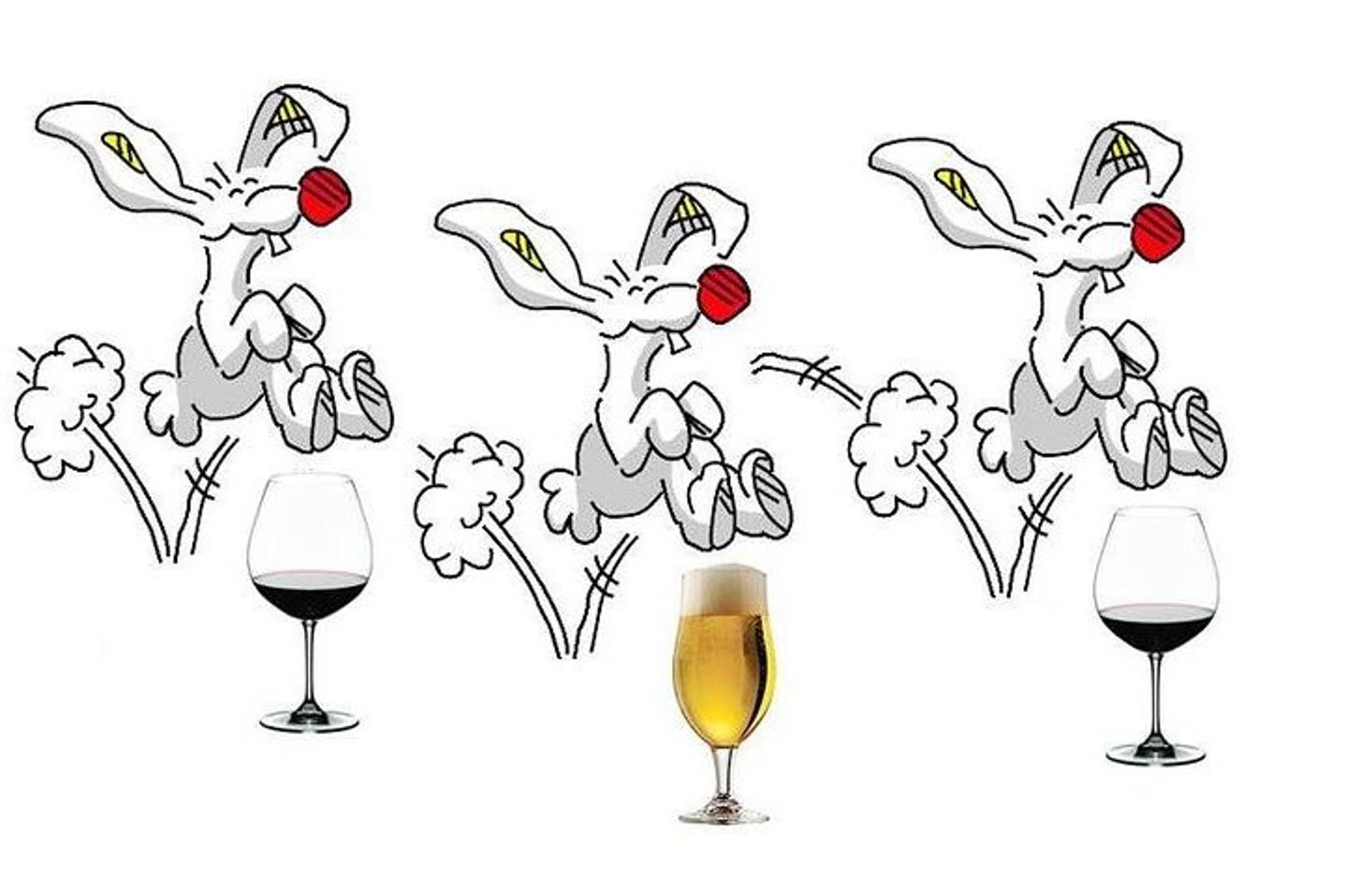 Temecula Wine and Beer Tour - Image 6