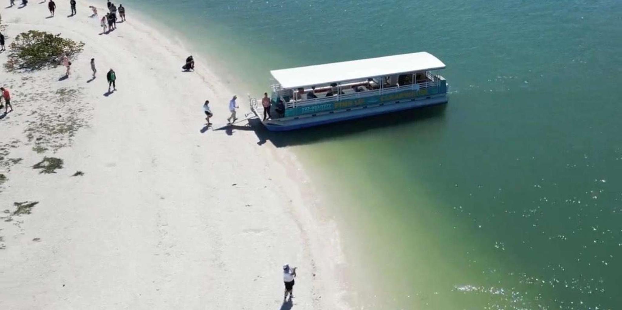 Clearwater Beach Dolphin and Island Sandbar Cruise - Image 5