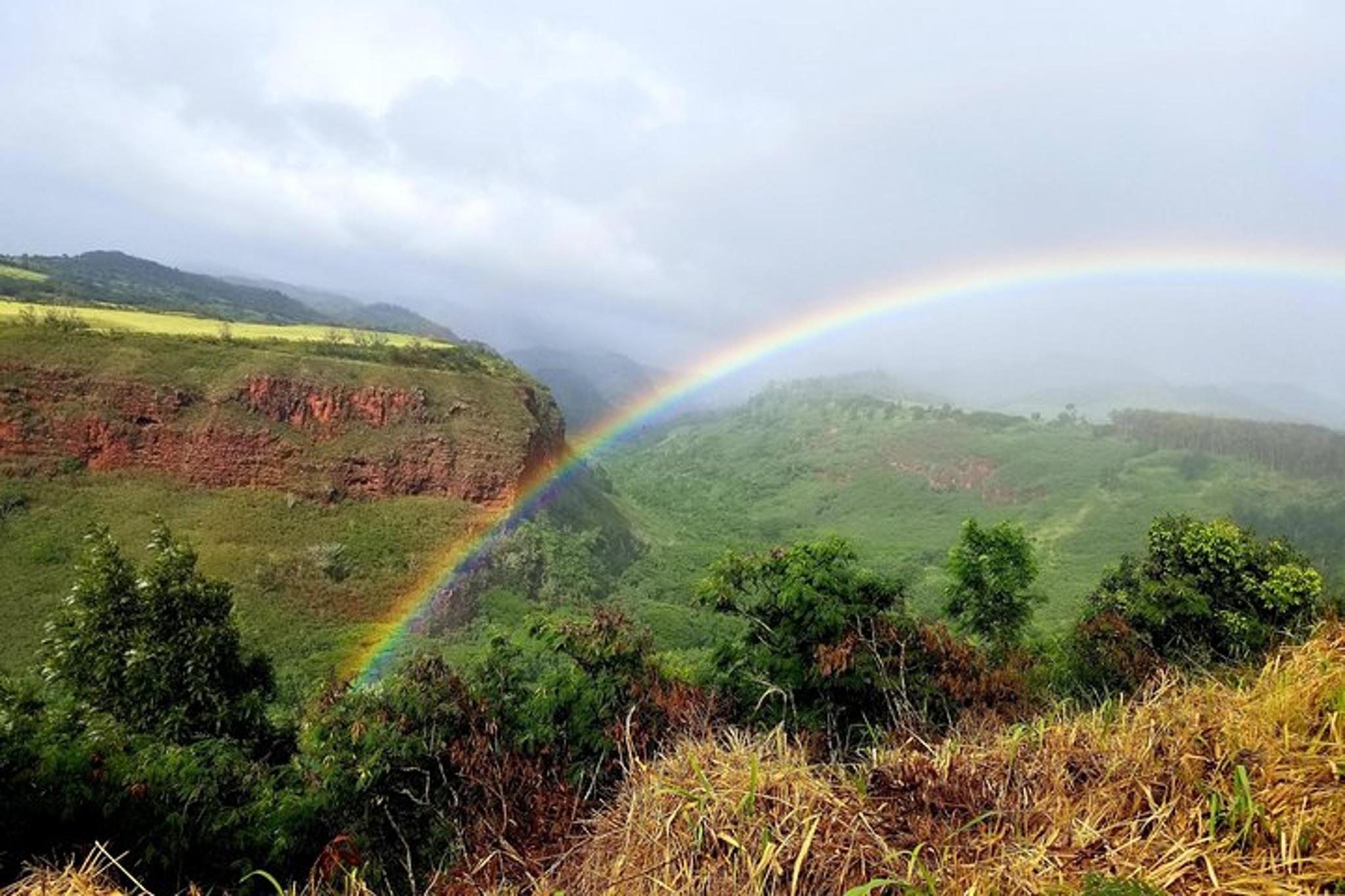 Waimea Canyon Private Tour - Image 4