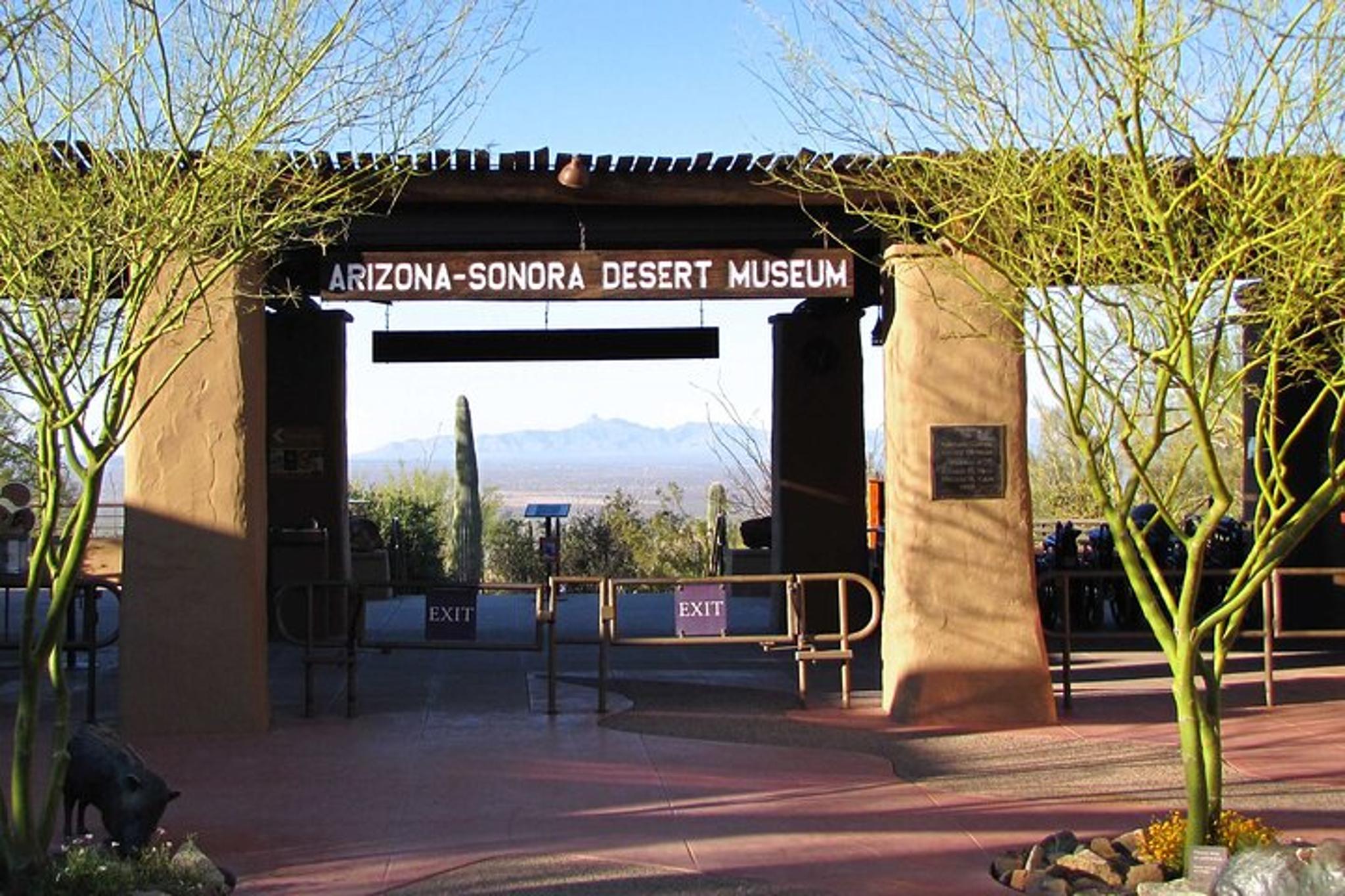 Tucson Day Tour from Phoenix - Image 5