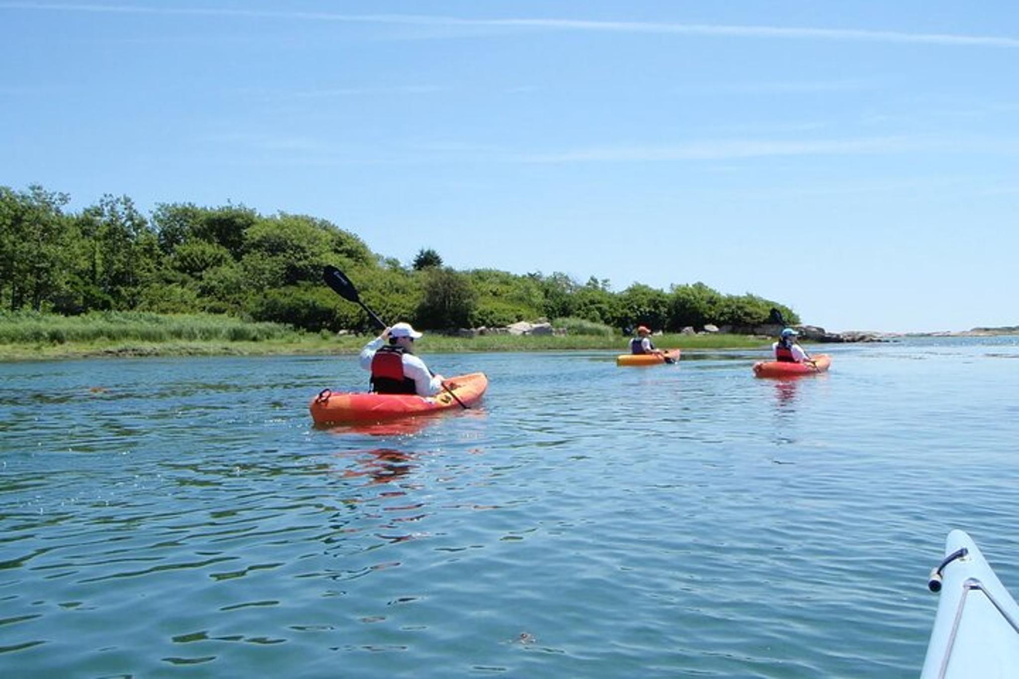 Cape Porpoise Harbor Kayak/SUP Rental 3 hr - Image 3