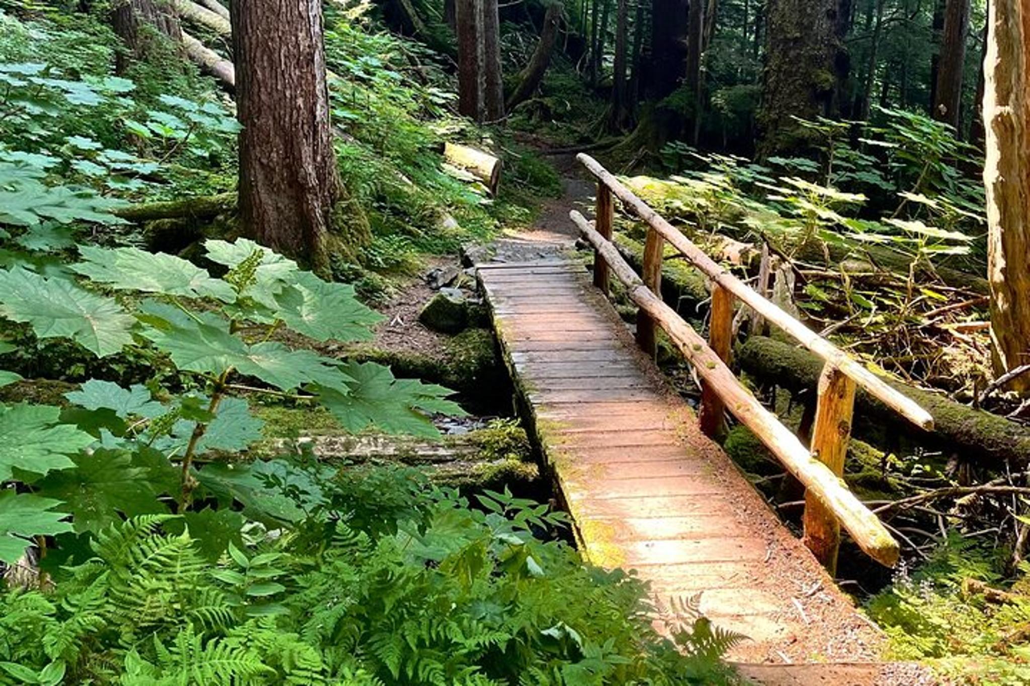 Sitka Guided Hike to Beaver Lake - Image 2