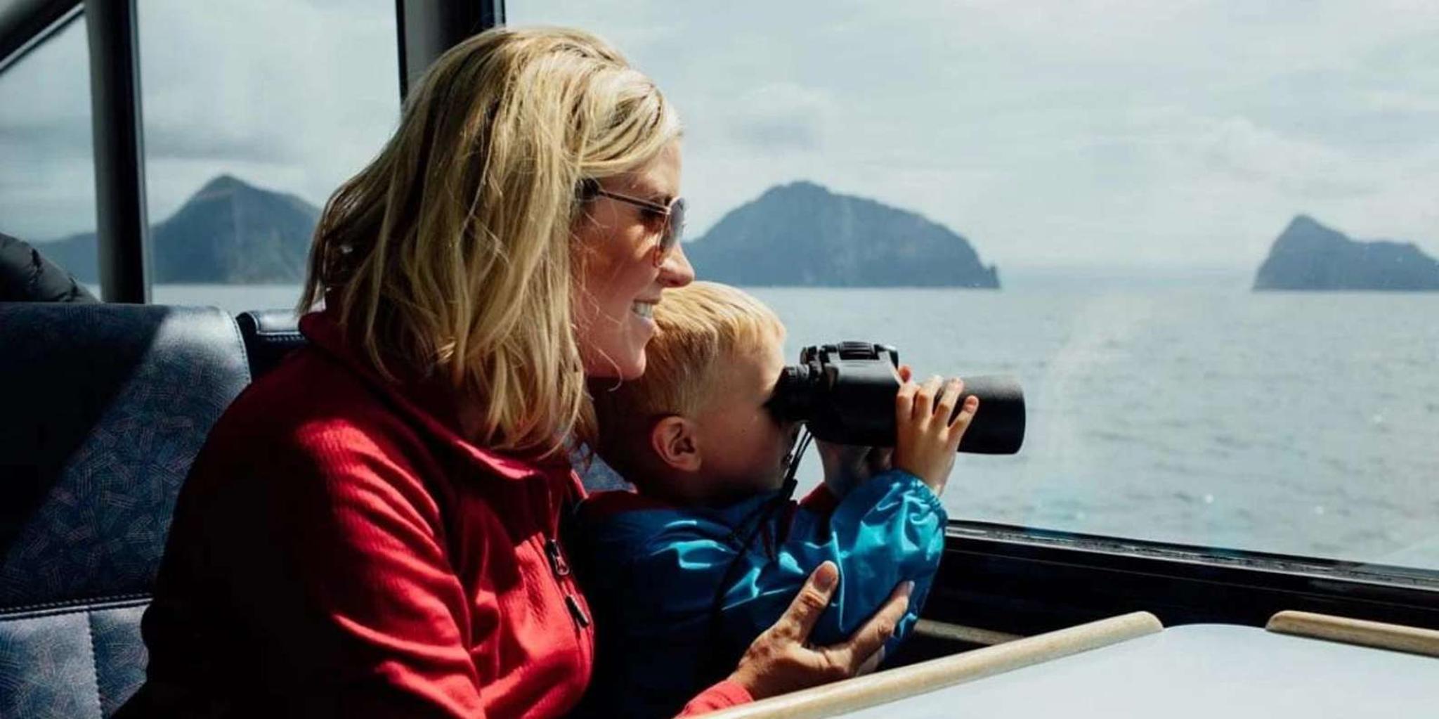 Seward Wildlife and Glacier Cruise 4 hr - Image 4