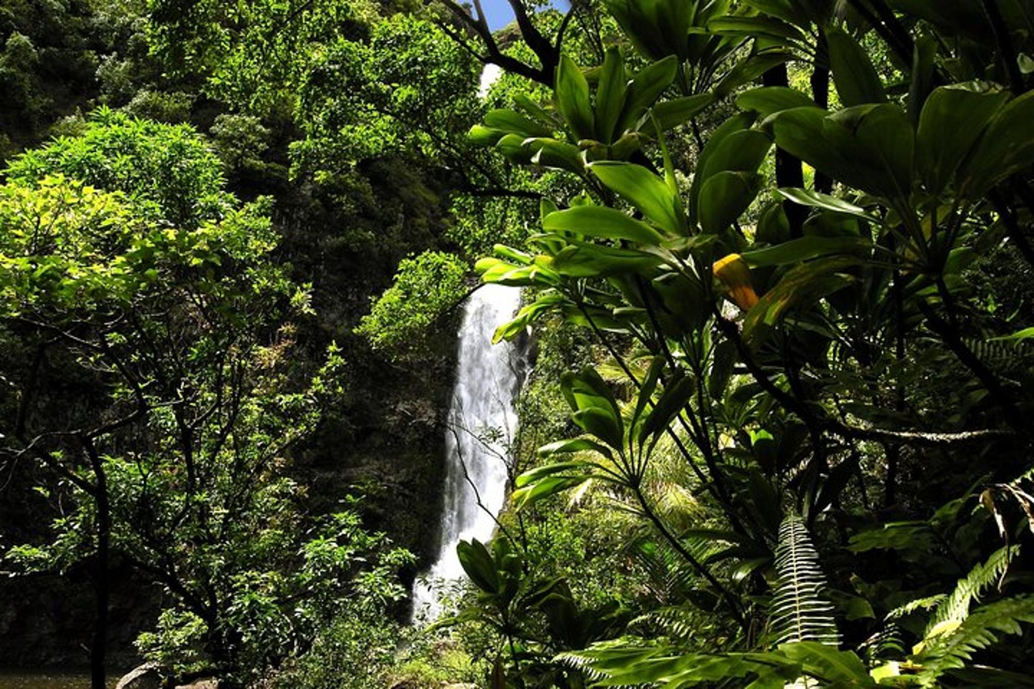 Maui Road to Hana Tour - Image 2