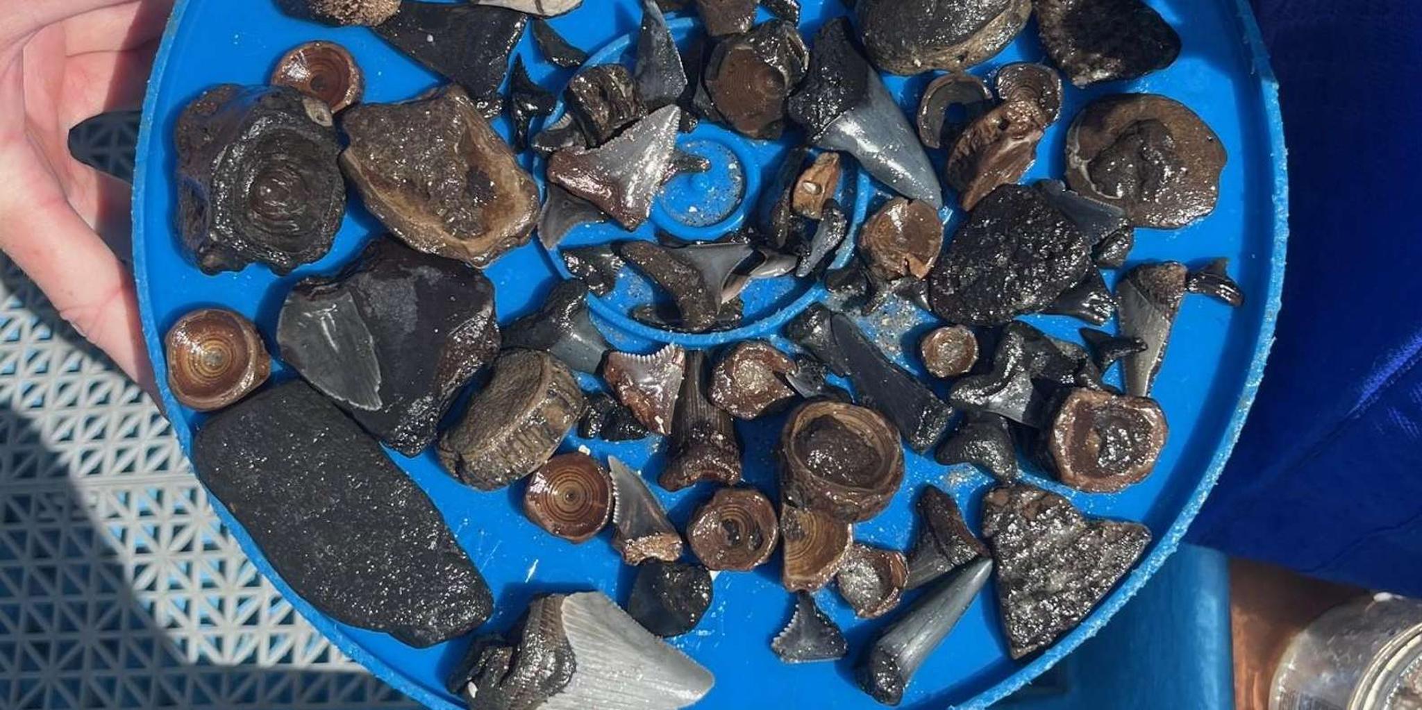 Folly Beach Morris Island Fossil Hunting Boat Tour 4.5 hr