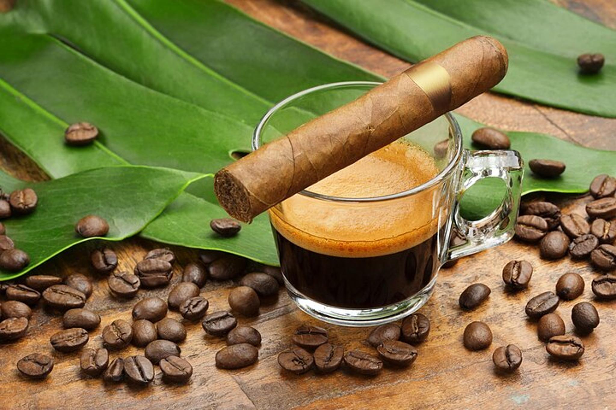 Miami Cultural and Food Walking Tour - Image 6