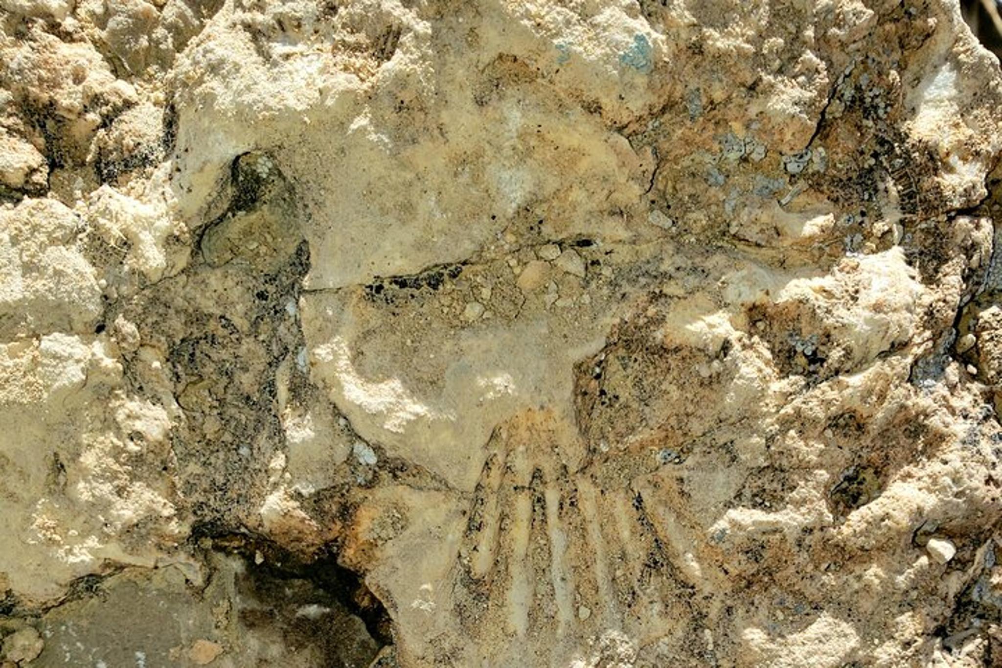 Las Vegas Animal Petting and Sunset Hike - Image 3