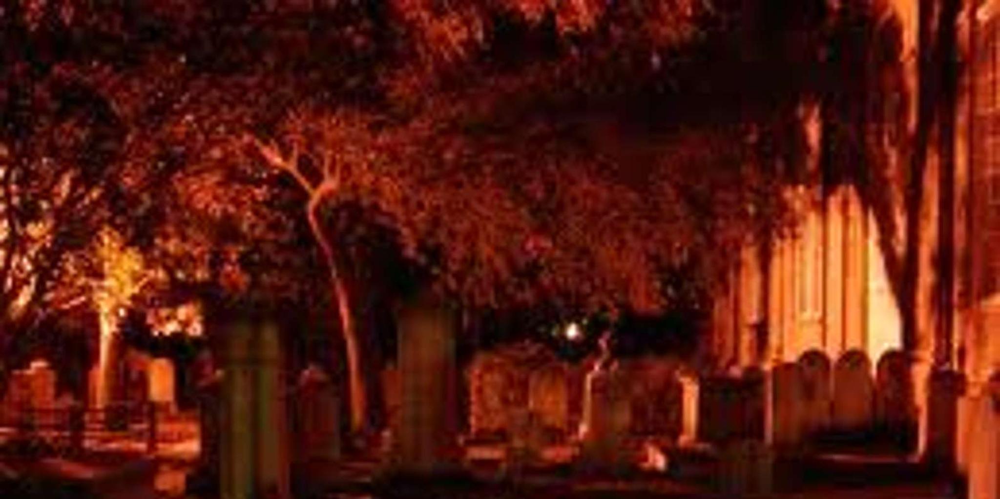 Charleston Ghost and Dungeon Walking Tour - Image 2