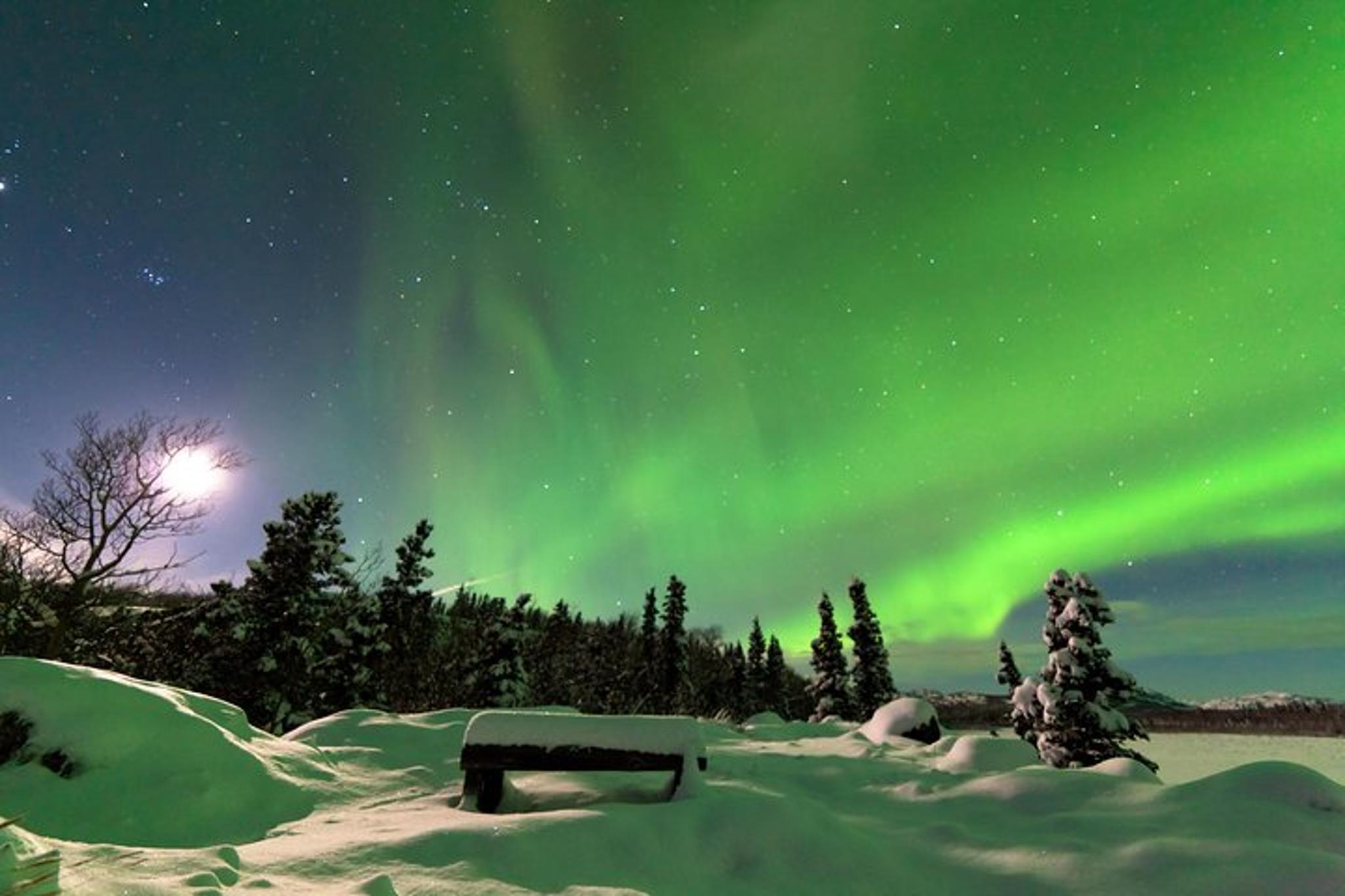 Fairbanks Northern Lights and Arctic Circle Tour - Image 4