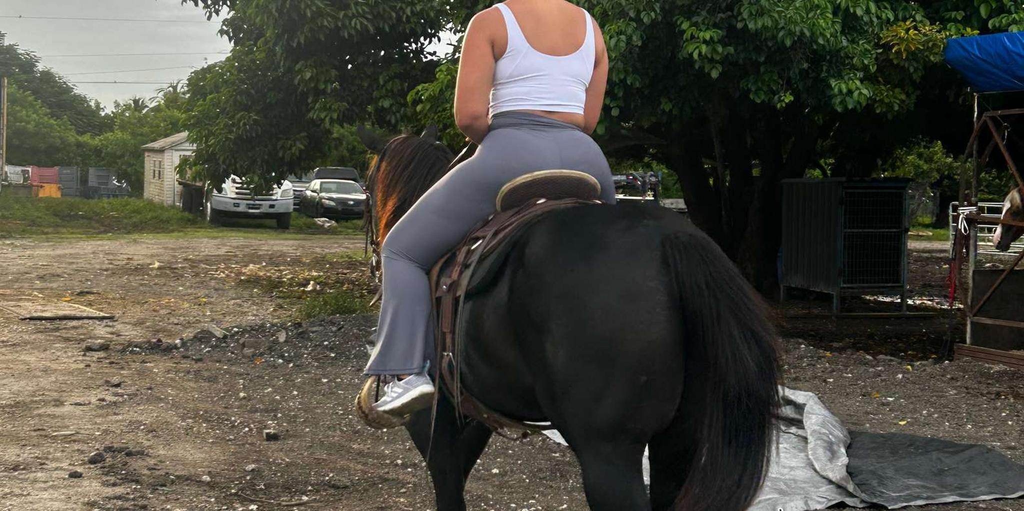 Miami Horseback Riding Tour with Instructor 1 hr - Image 2