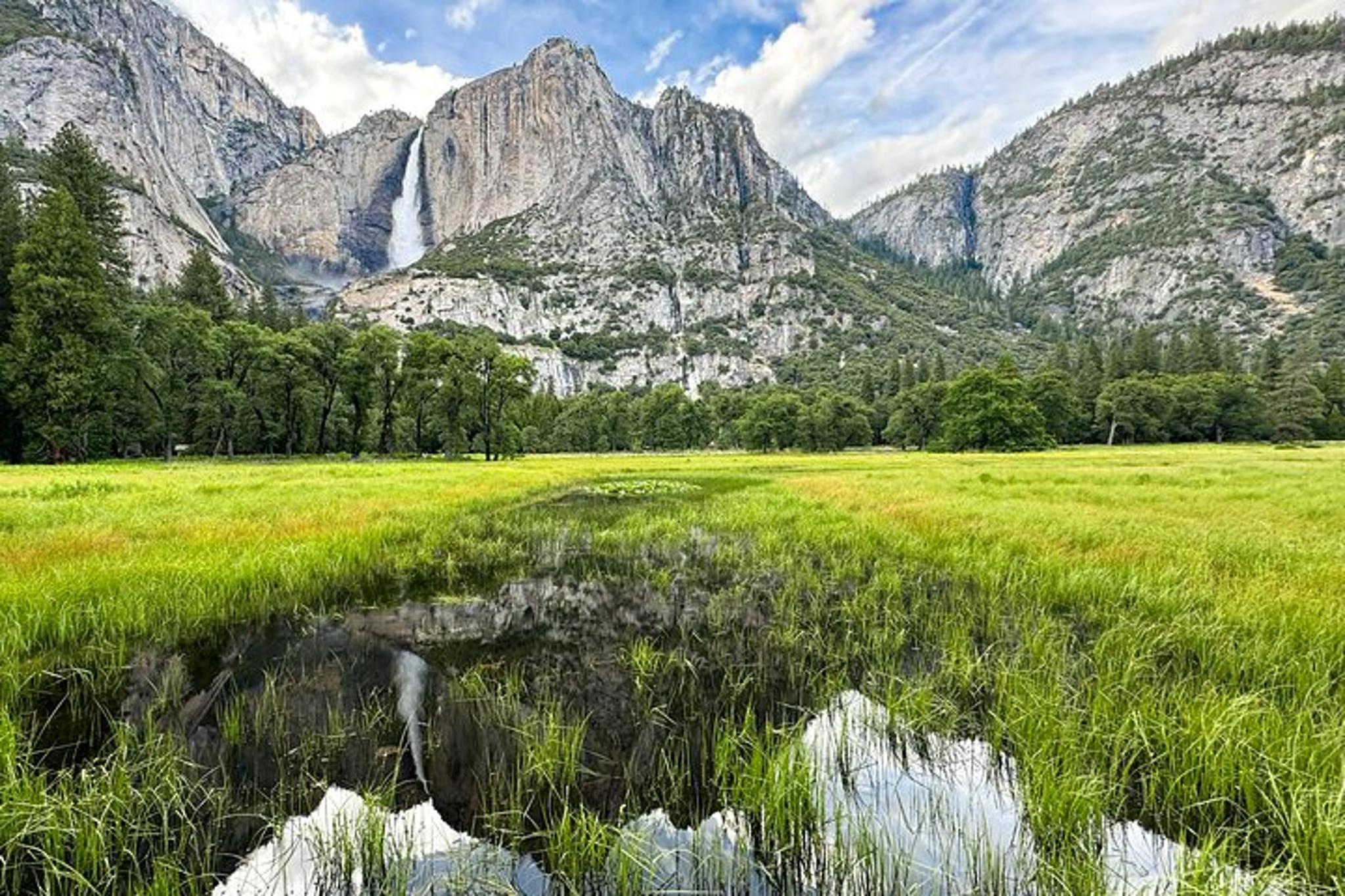 Yosemite Photography Workshop Half Day - Image 2