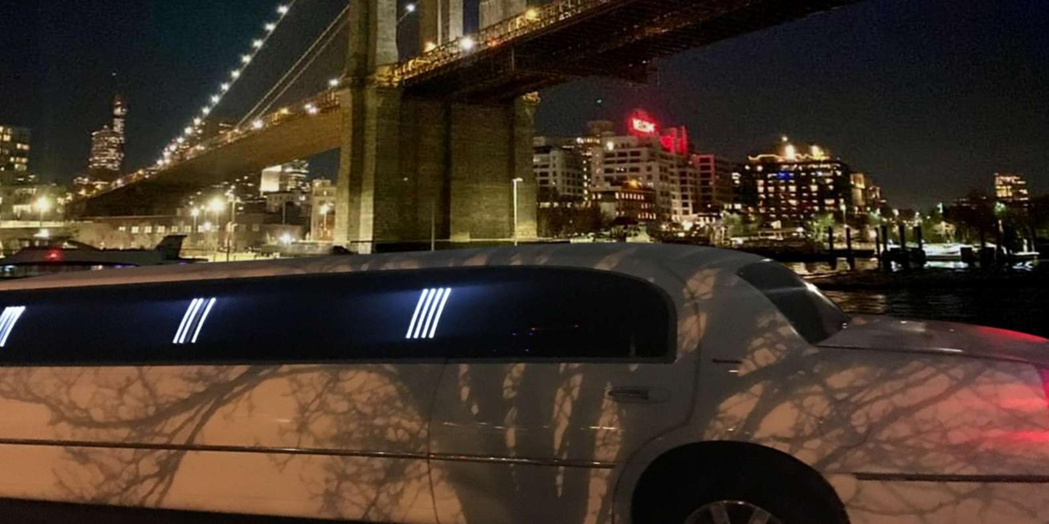 New York City Private Limousine Tour - Image 6