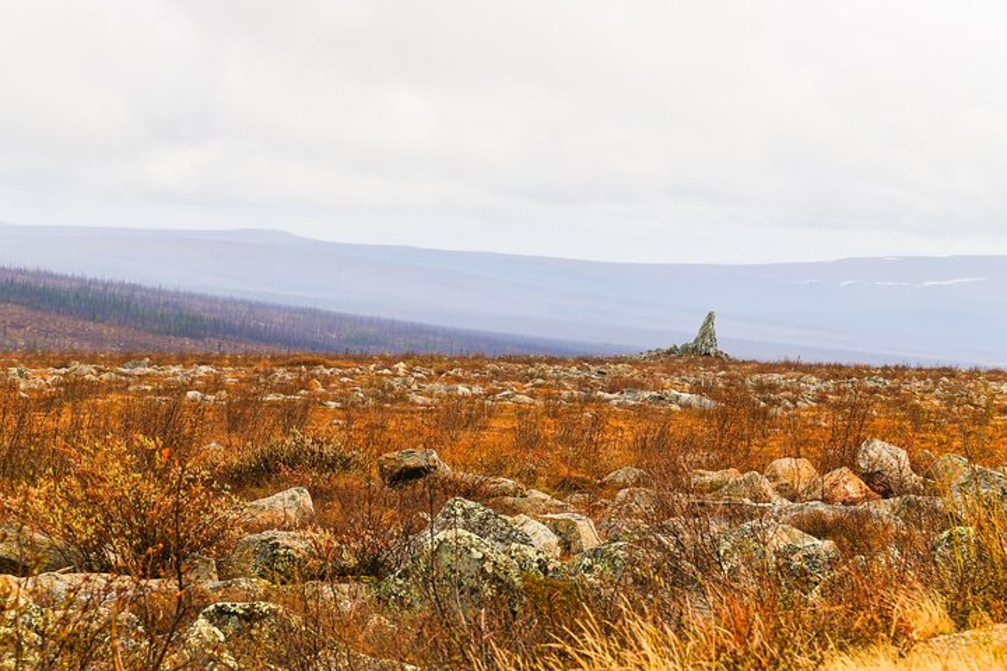 Fairbanks Arctic Circle Expedition - Image 2