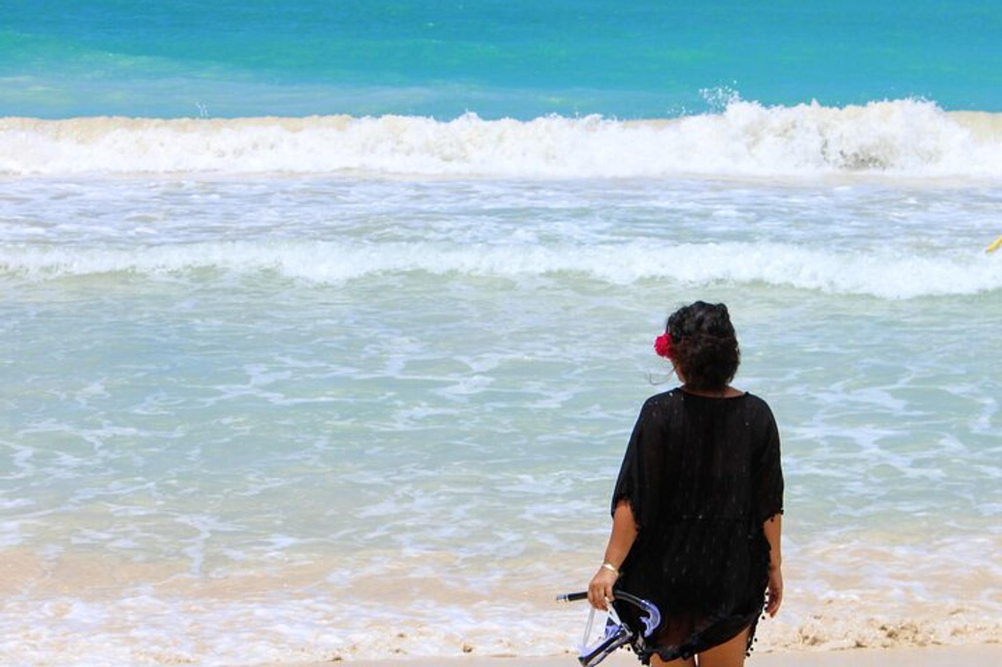 Waimanalo Picnic Experience 90 min - Image 4