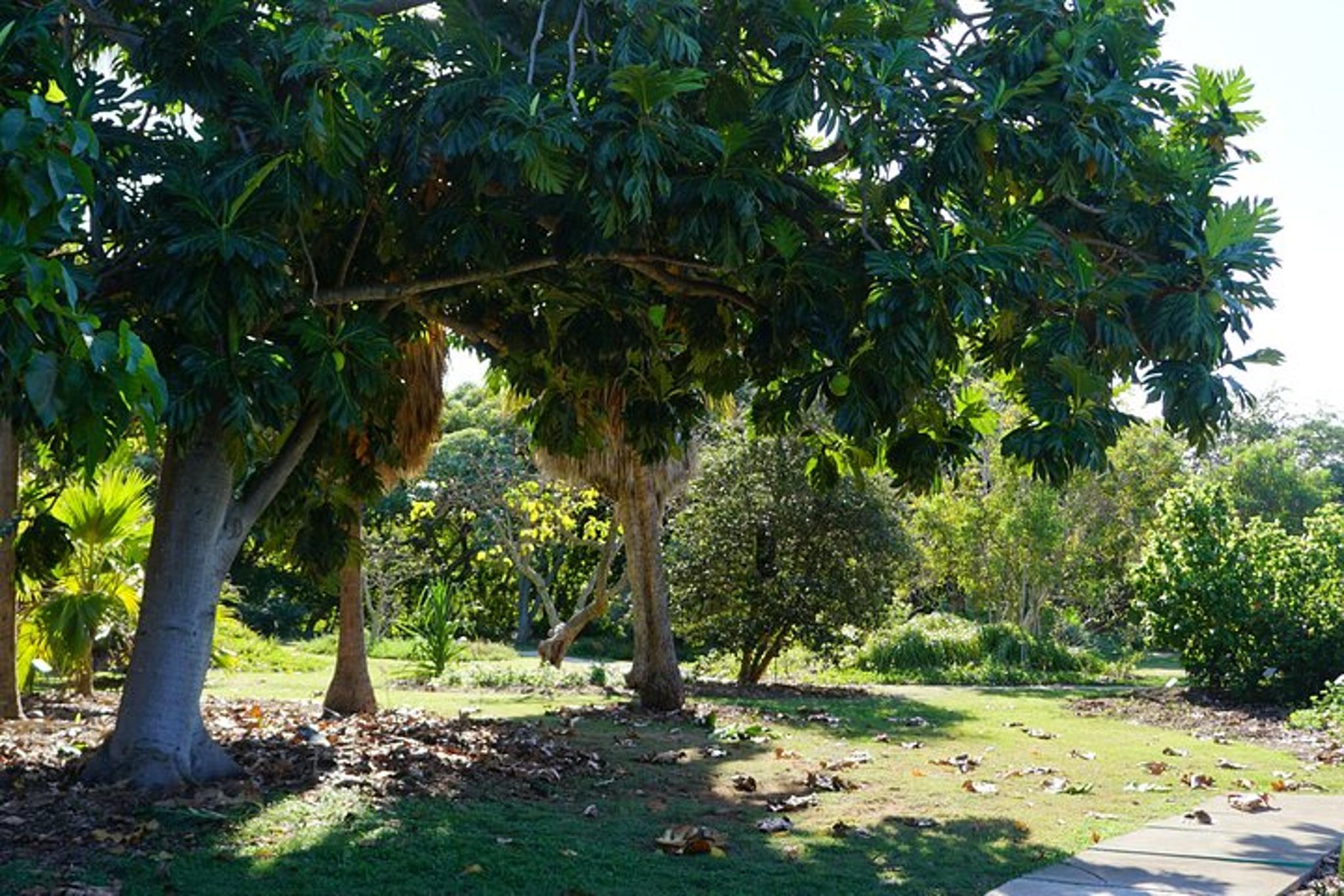 Maui Botanical Garden Experience - Image 5