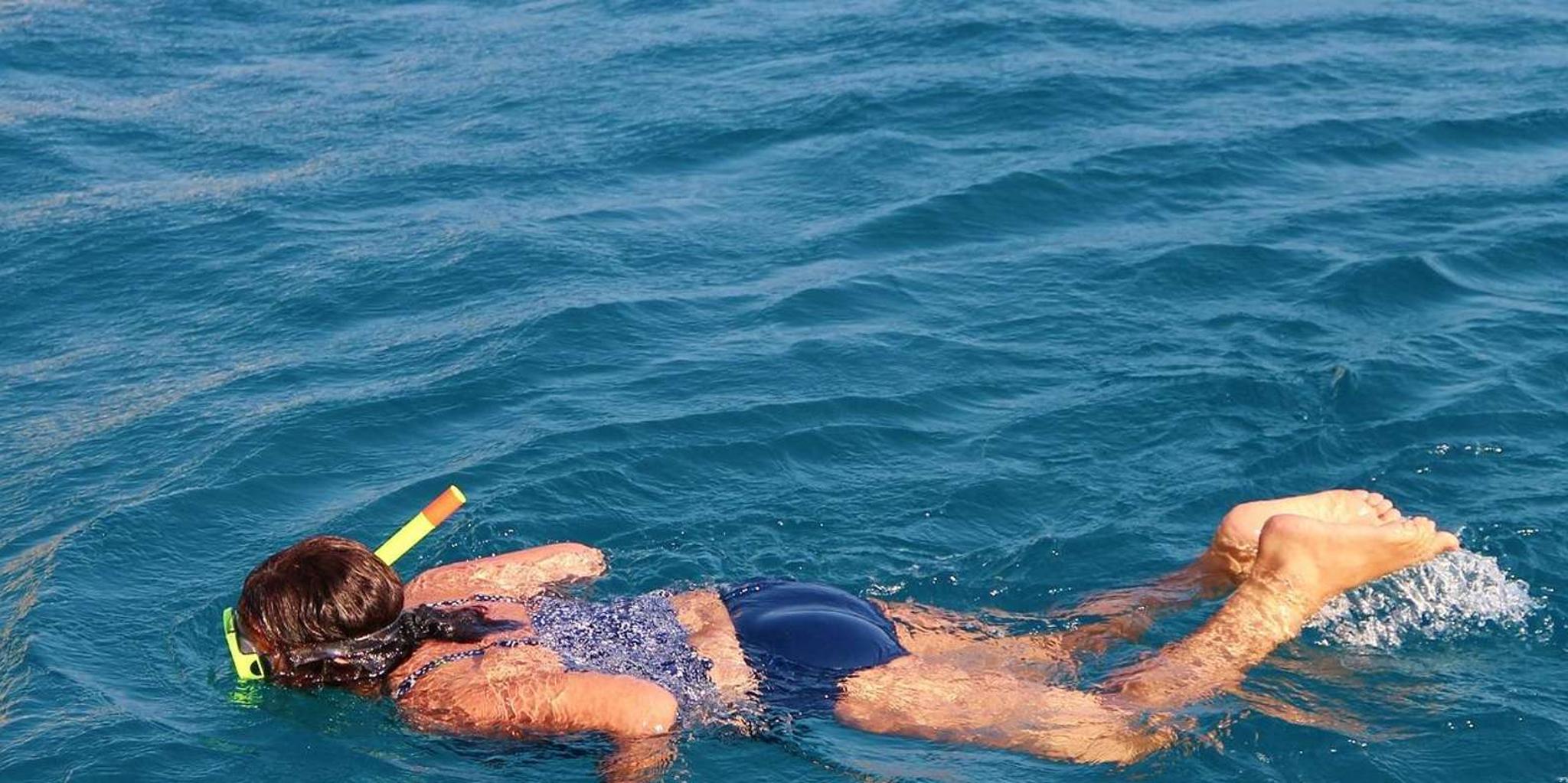 Hilo Snorkeling Tour with Nature Walk - Image 6