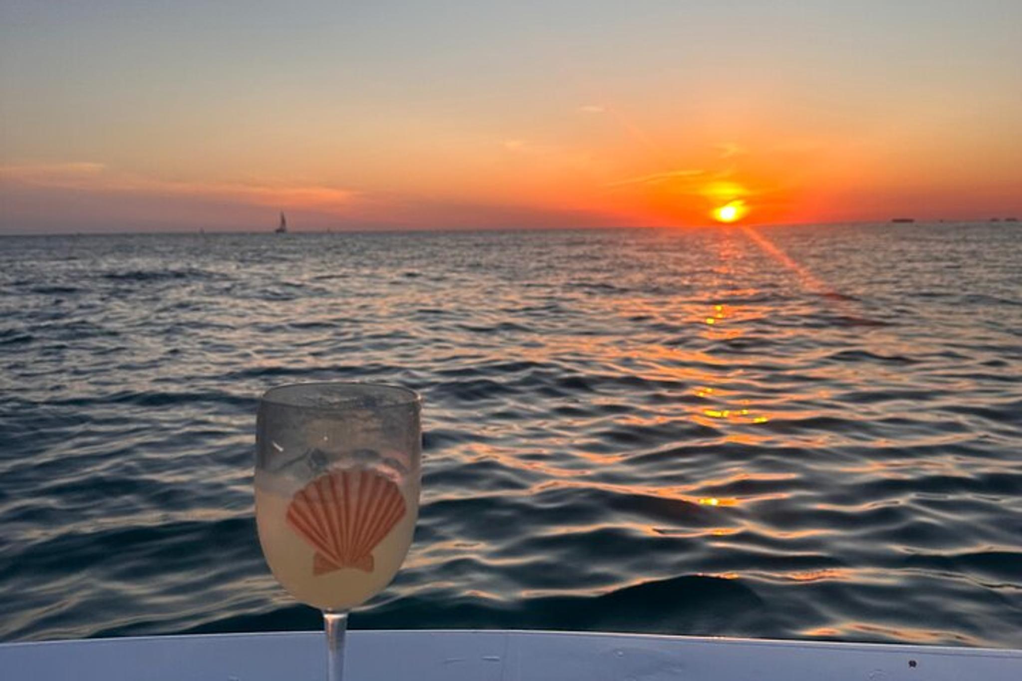 Panama City Dolphin Adventure at Sunset - Image 5