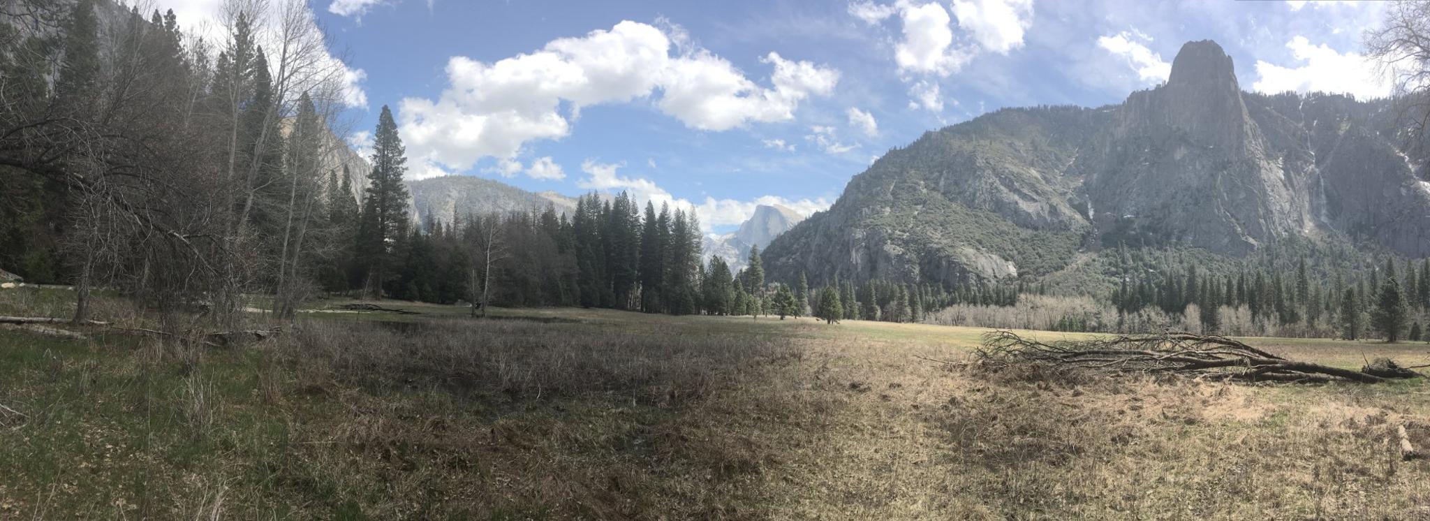 Los Angeles Yosemite and Glacier Point Tour by Amtrak - Image 3