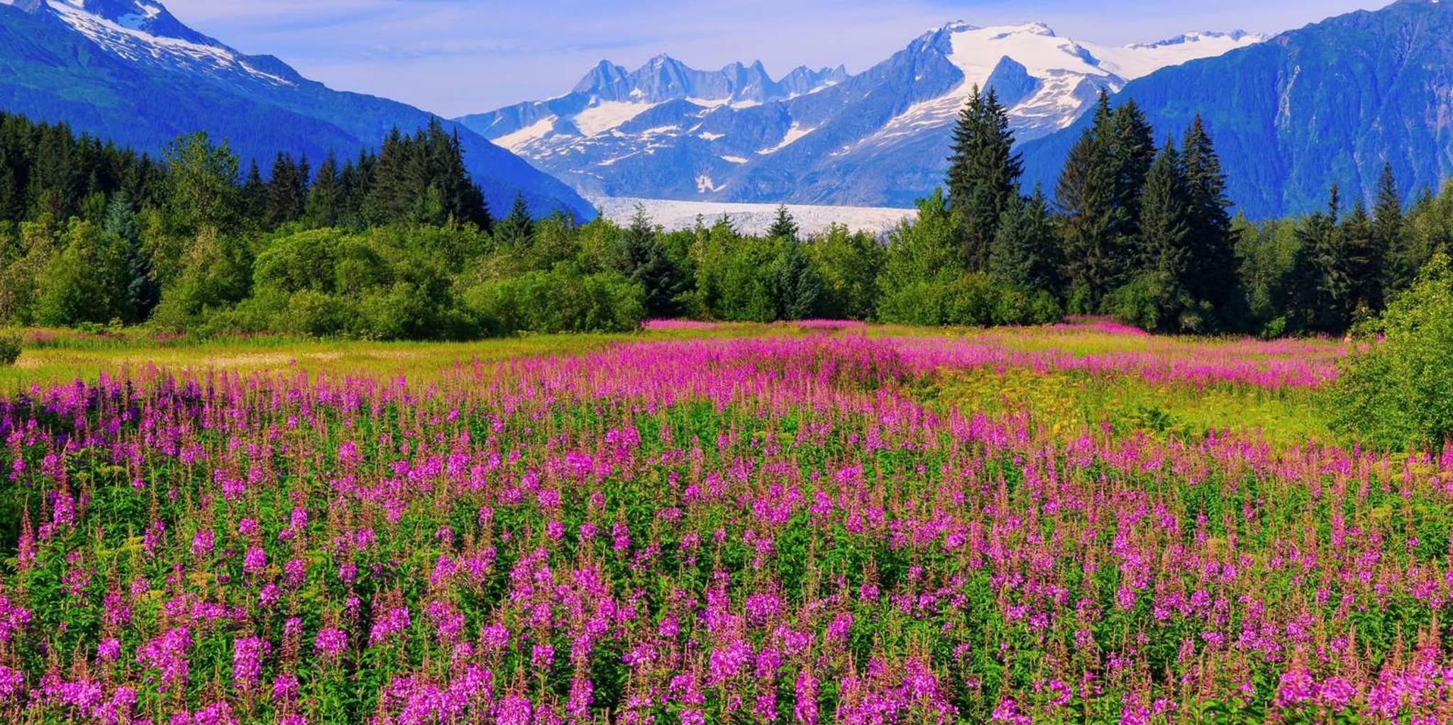 Juneau Craft Beer and Brewery Tour - Image 2