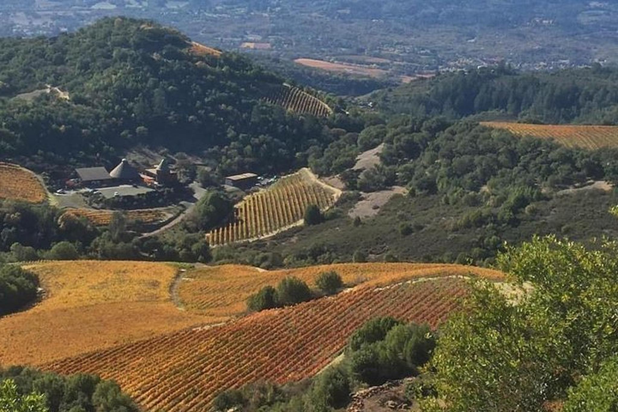 San Francisco Wine Tour to Sonoma 8 hr - Image 6