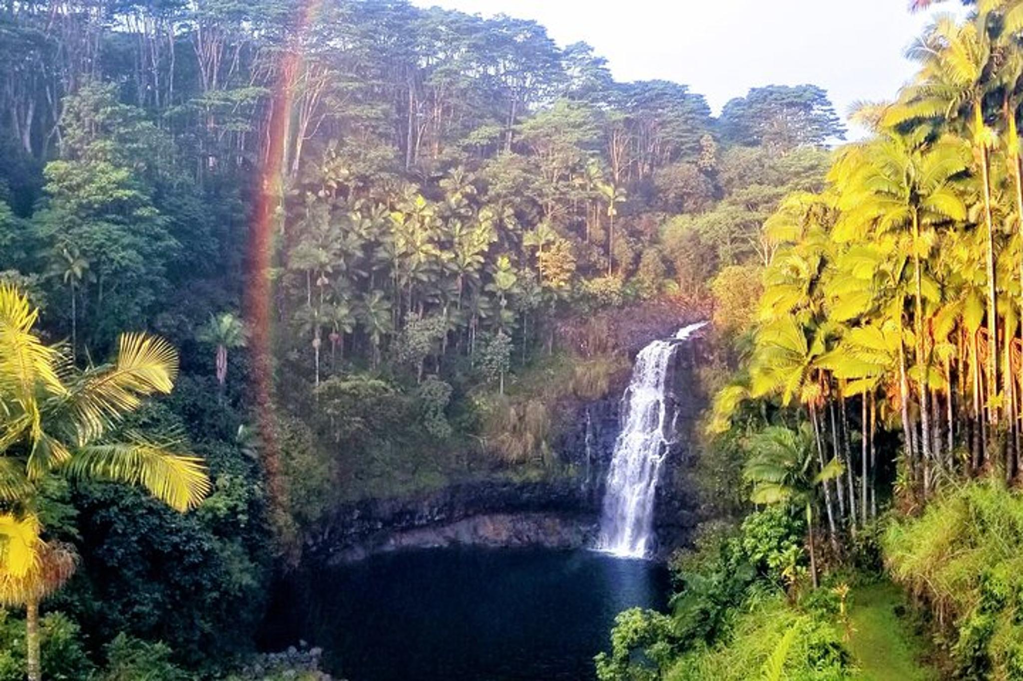 Hilo Kulaniapia Falls Daypass - Image 2