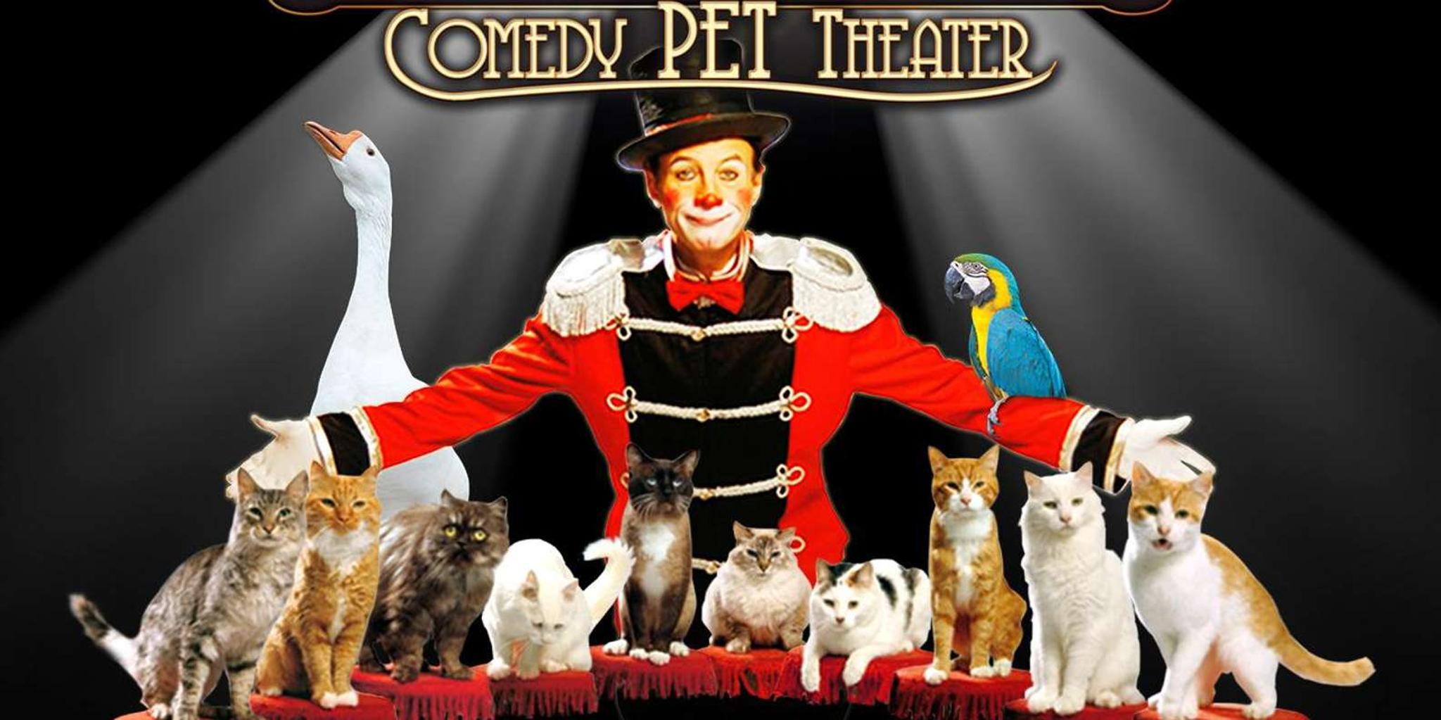 Las Vegas Comedy Pet Theater