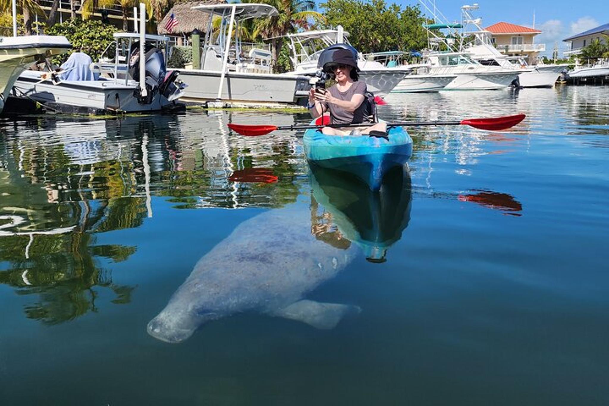 Florida Keys Mangrove Kayak Tour - Image 5