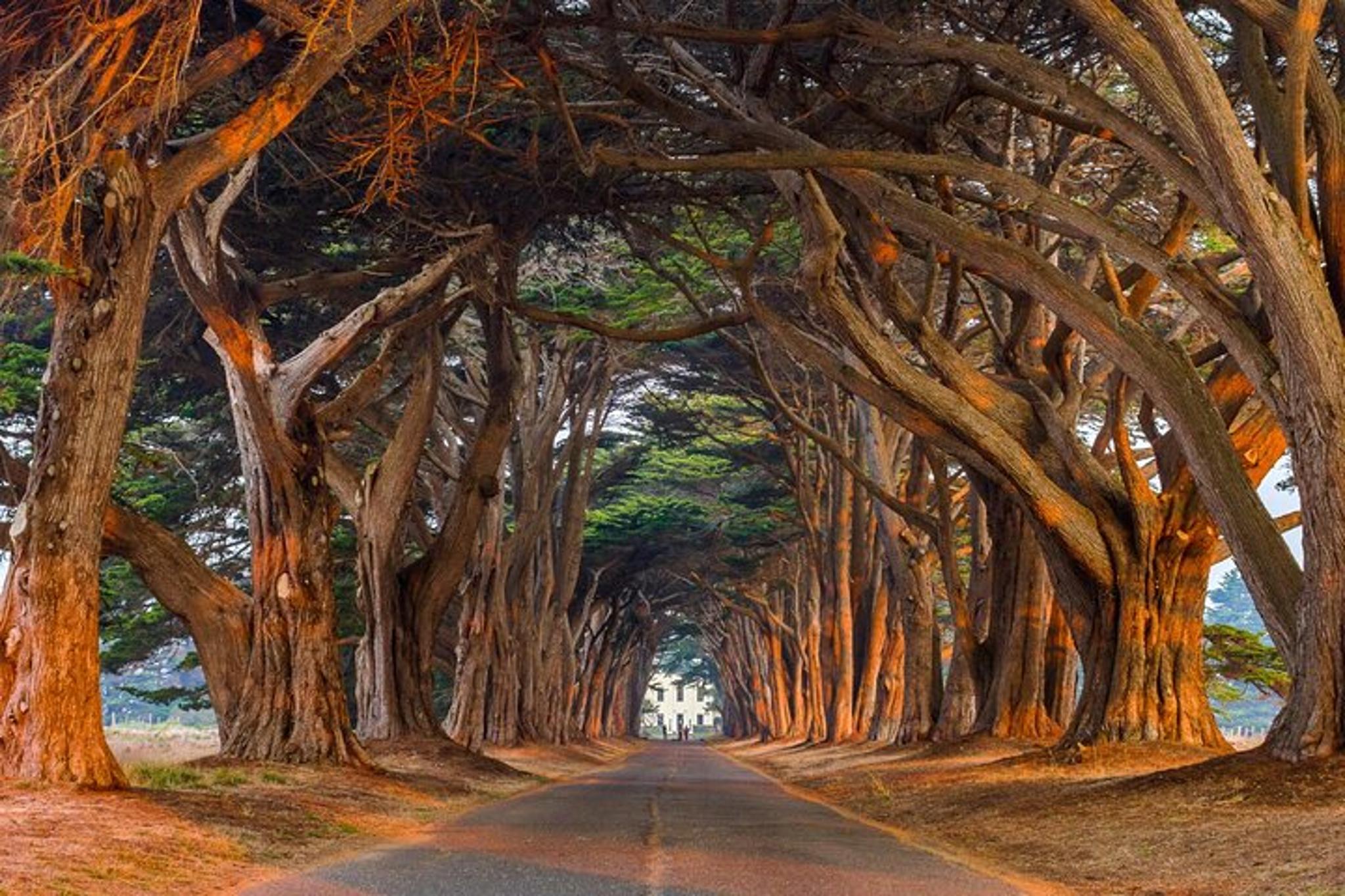 Point Reyes Self-Guided Audio Driving Tour - Image 6