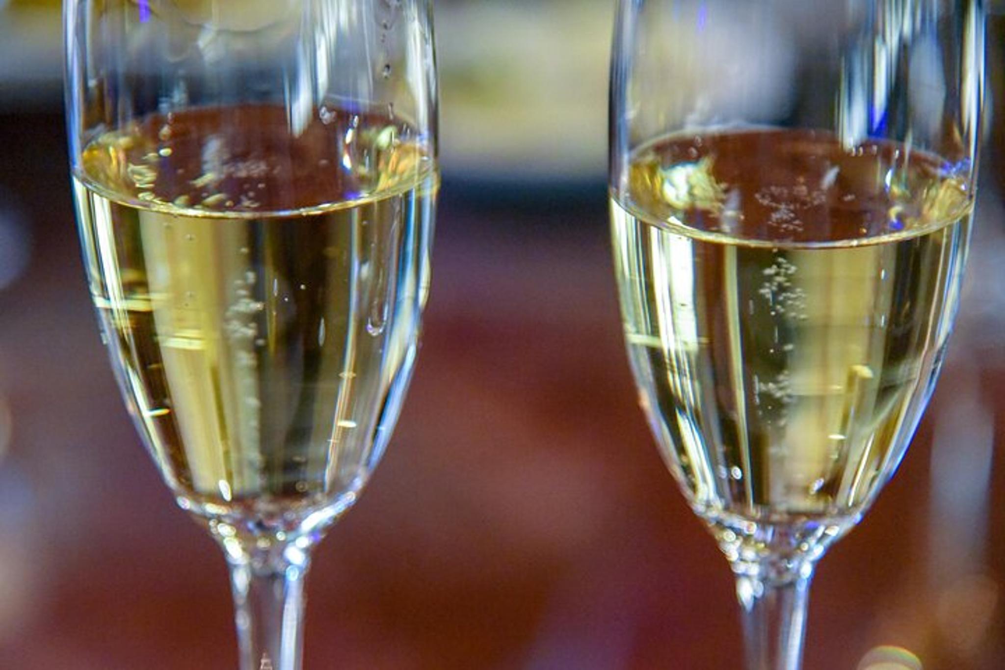 Sausalito Food and Wine Tour - Image 5