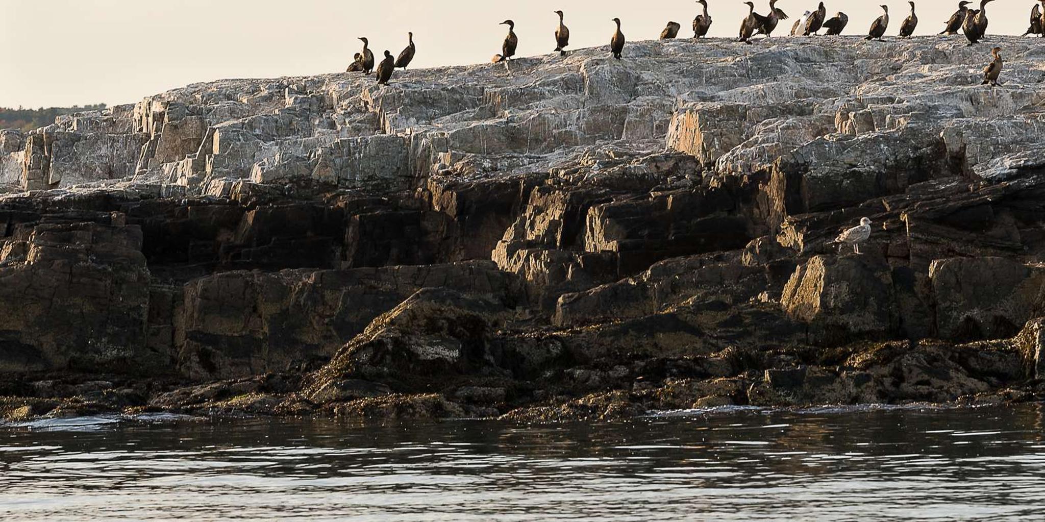 Portland Sunset Lighthouse Cruise - Image 4