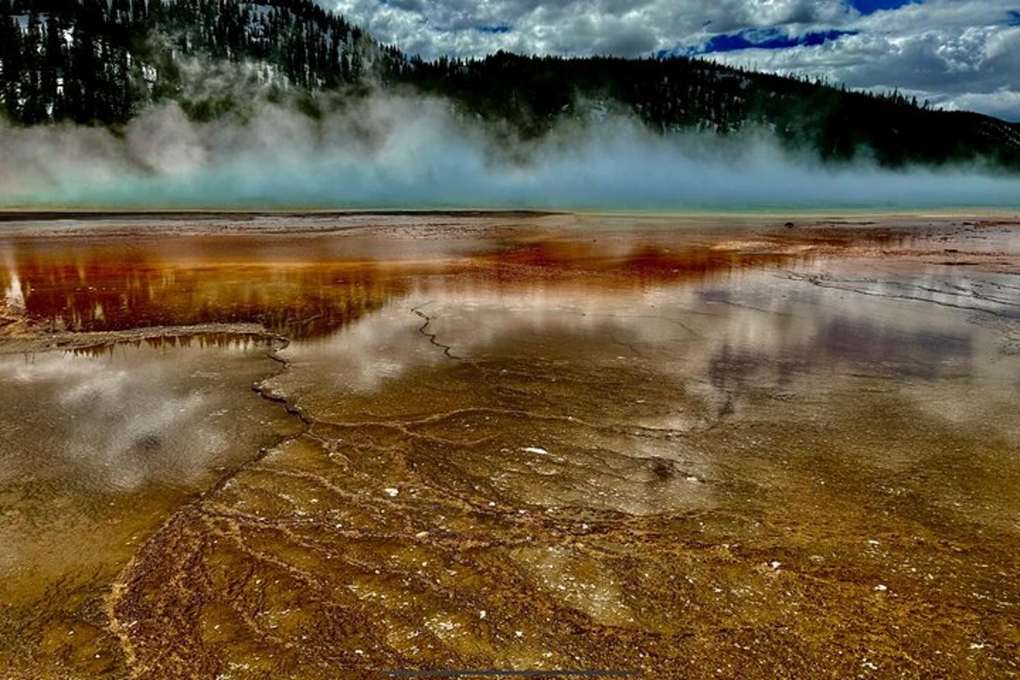 Yellowstone Volcano Lower Loop Tour from West Yellowstone - Image 5