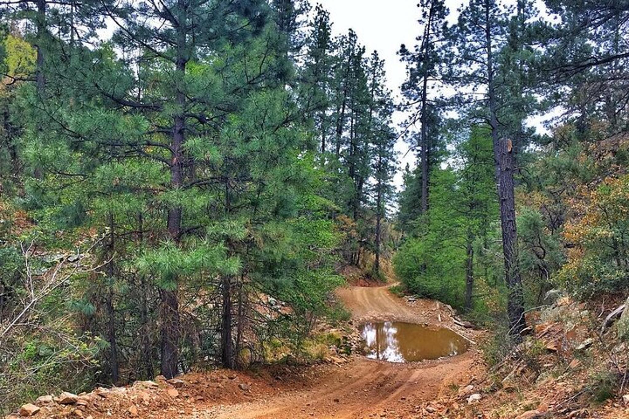 Flagstaff UTV Adventure in Northern Arizona - Image 5