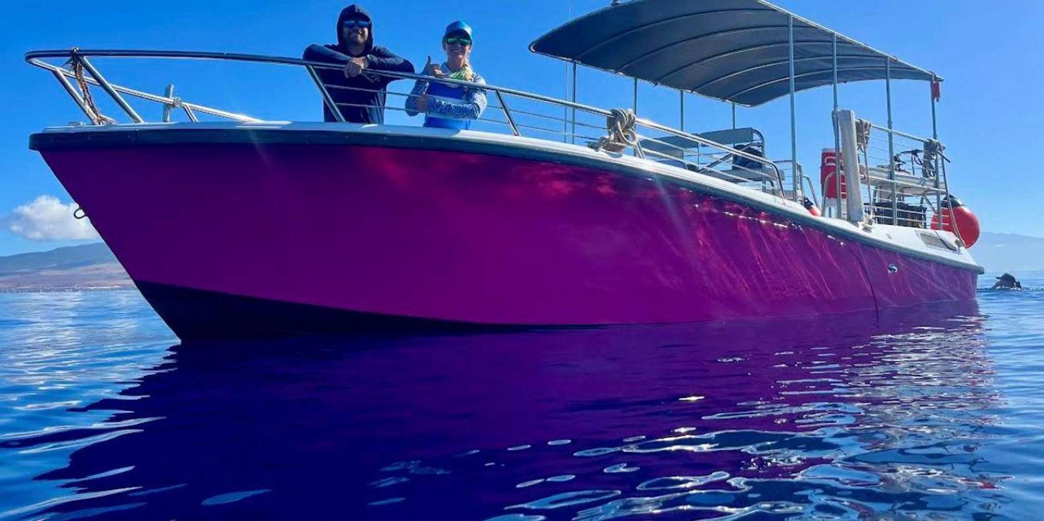 Maui Snorkel and Dolphin Adventure - Image 4