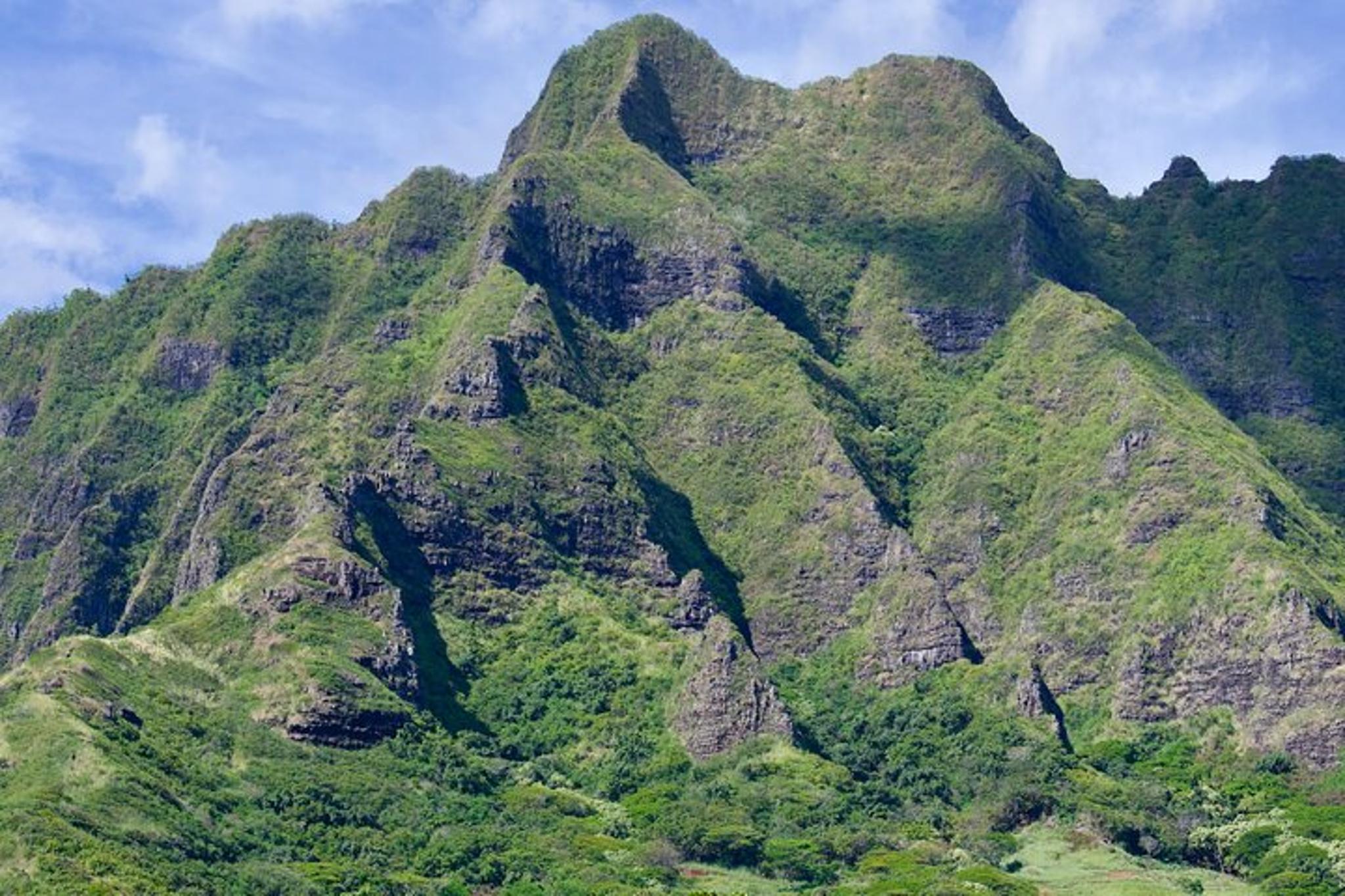 Oahu Private Tour for Up to 4 Guests - Image 6