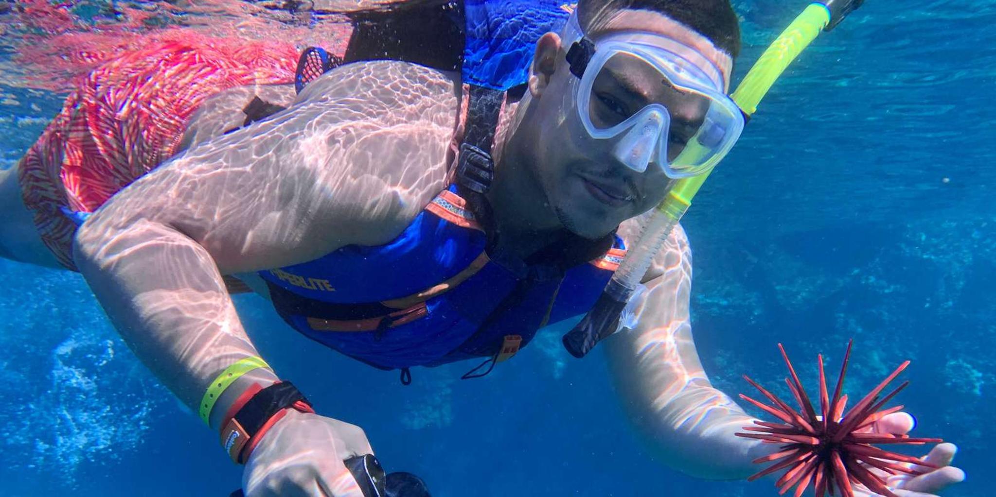 Maui E-Scooter Snorkeling Tour at Turtle Town - Image 6