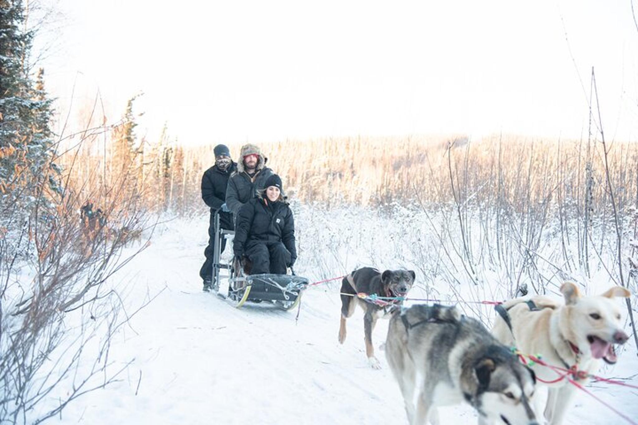 Borealis Basecamp Dogsled and Reindeer Day Trip