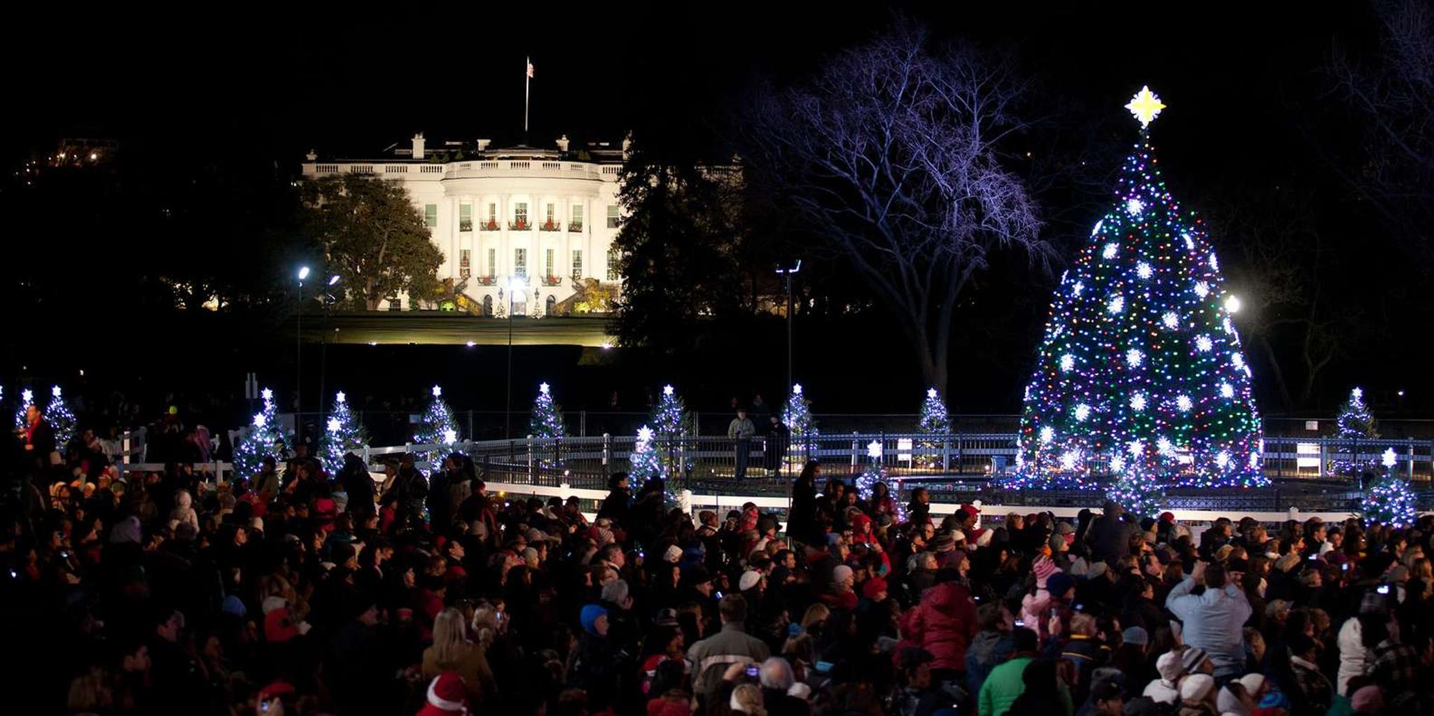 Washington, DC Holiday Lights Nighttime Bus Tour - Image 6