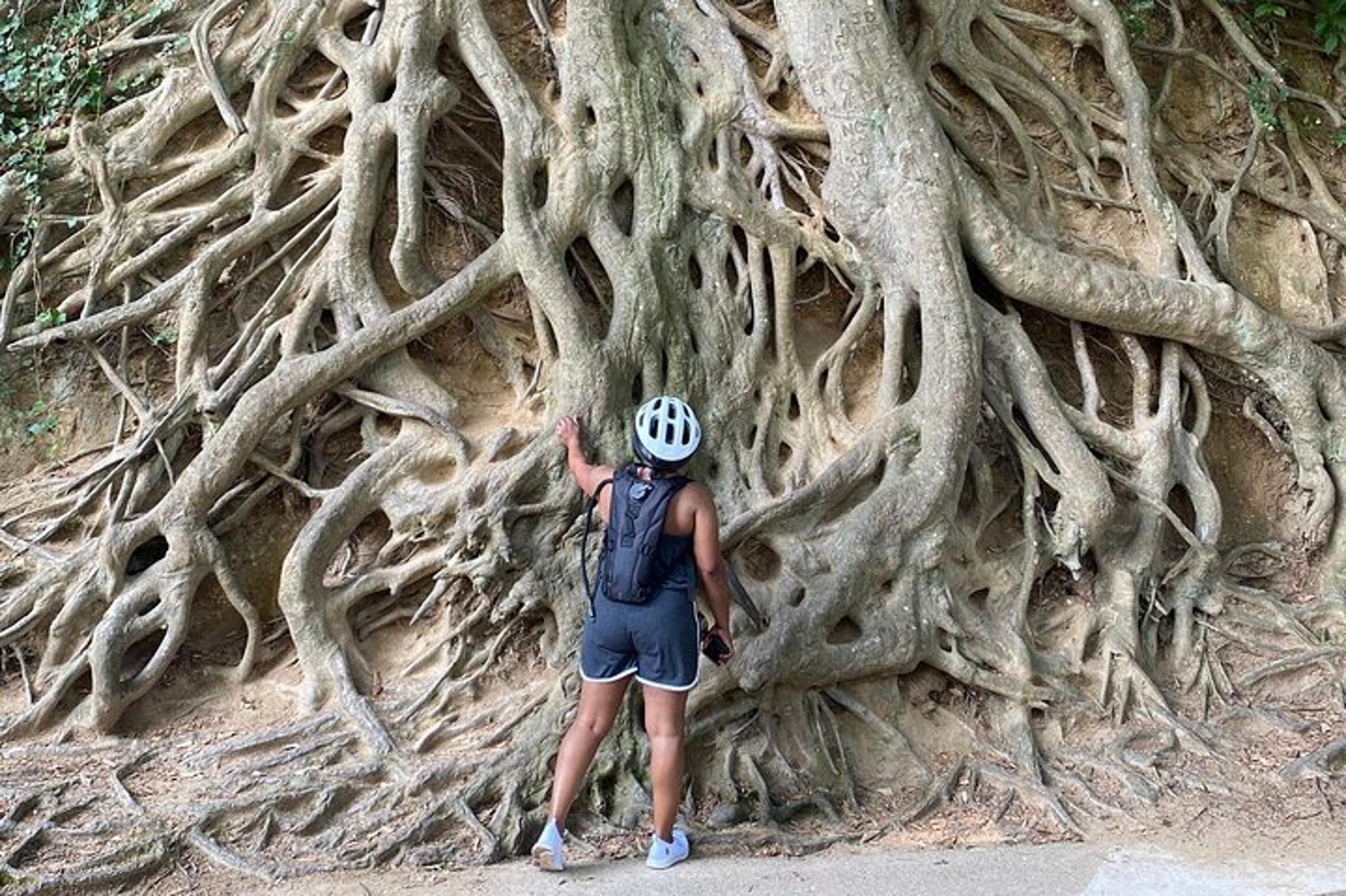 Greenville Electric Bike Tour - Image 6