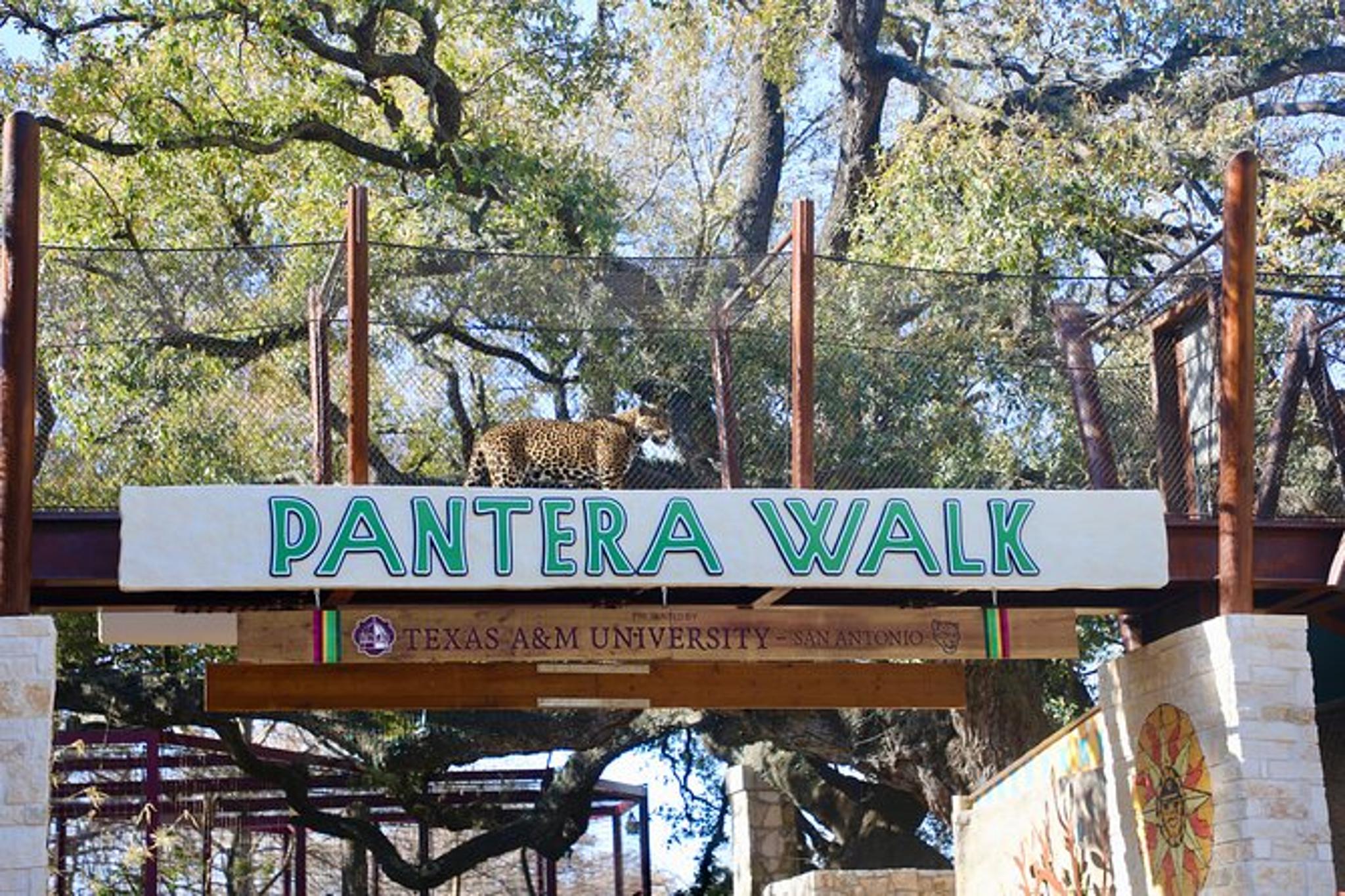 San Antonio Zoo Admission Ticket - Image 5