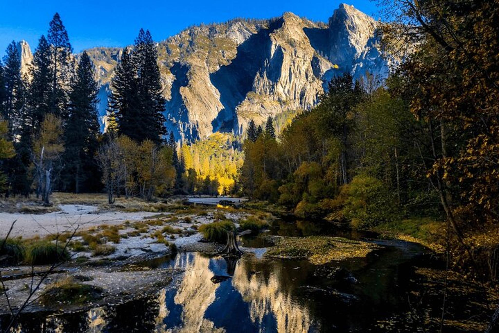 San Francisco Monterey & Yosemite Tour 2-Day - Image 6