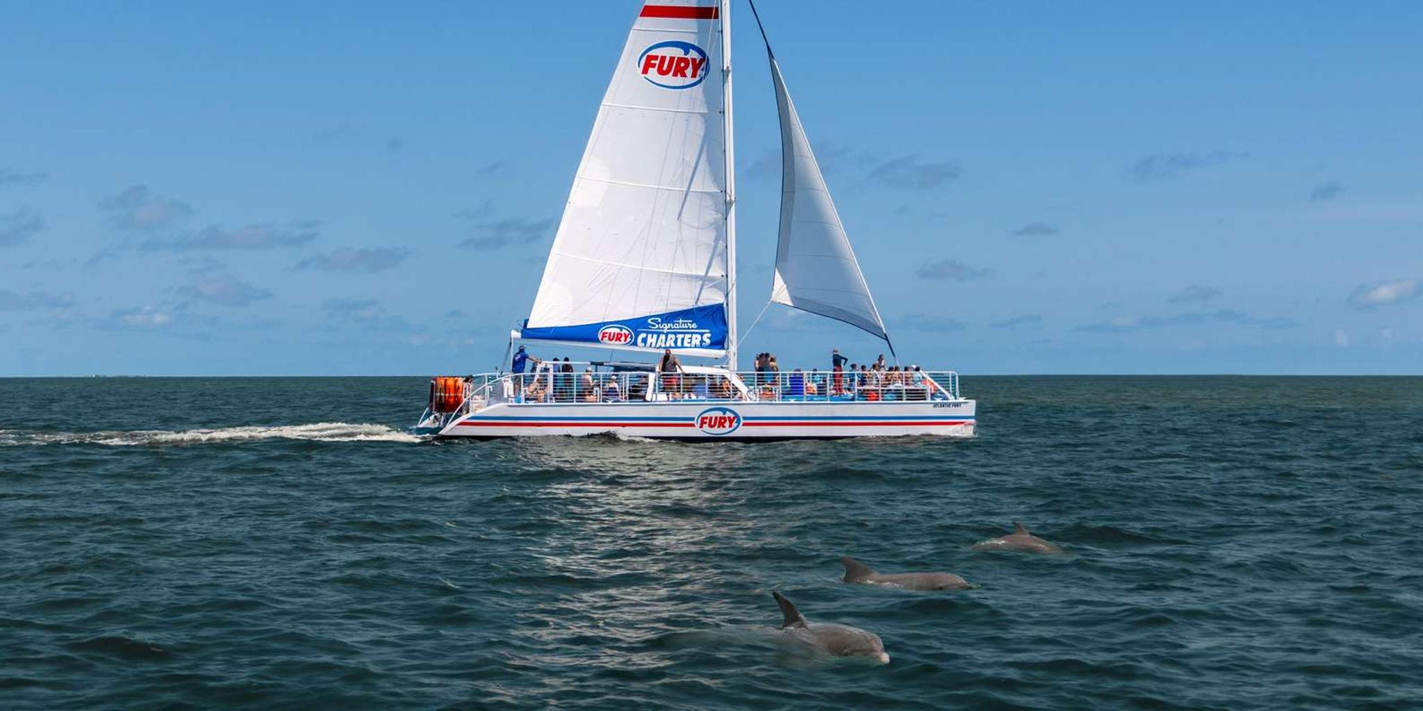 St. Augustine Dolphin Watching Harbor Tour - Image 1
