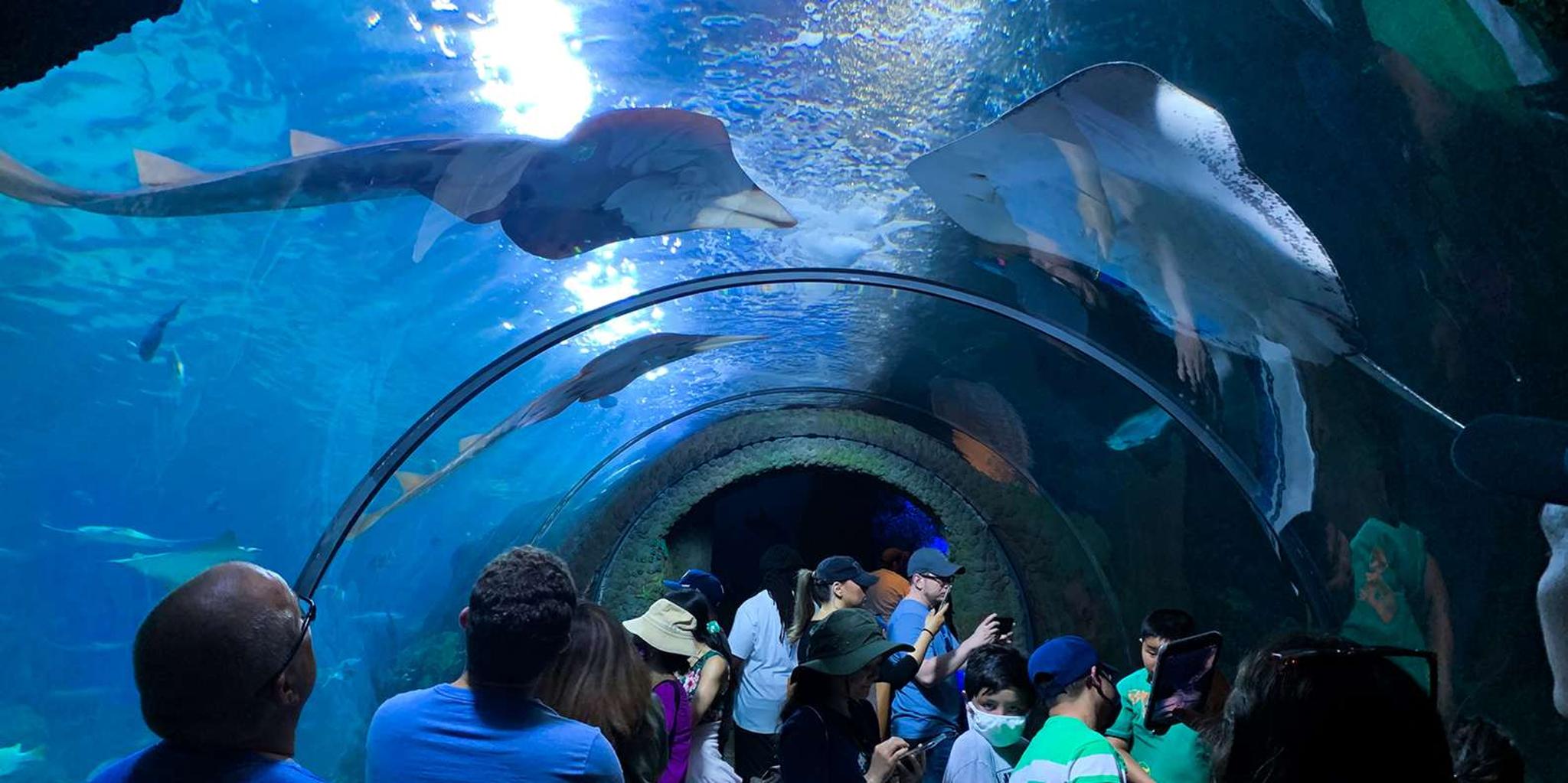 Denver Aquarium All-Day Pass - Image 4