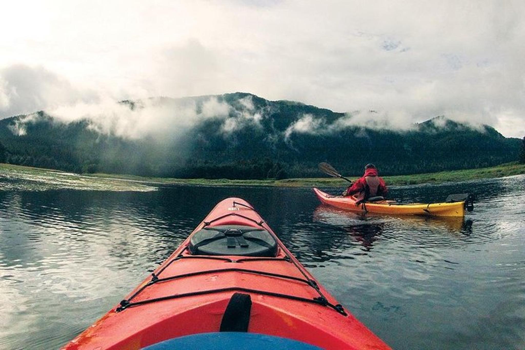 Sitka Sea Kayaking Adventure - Image 3